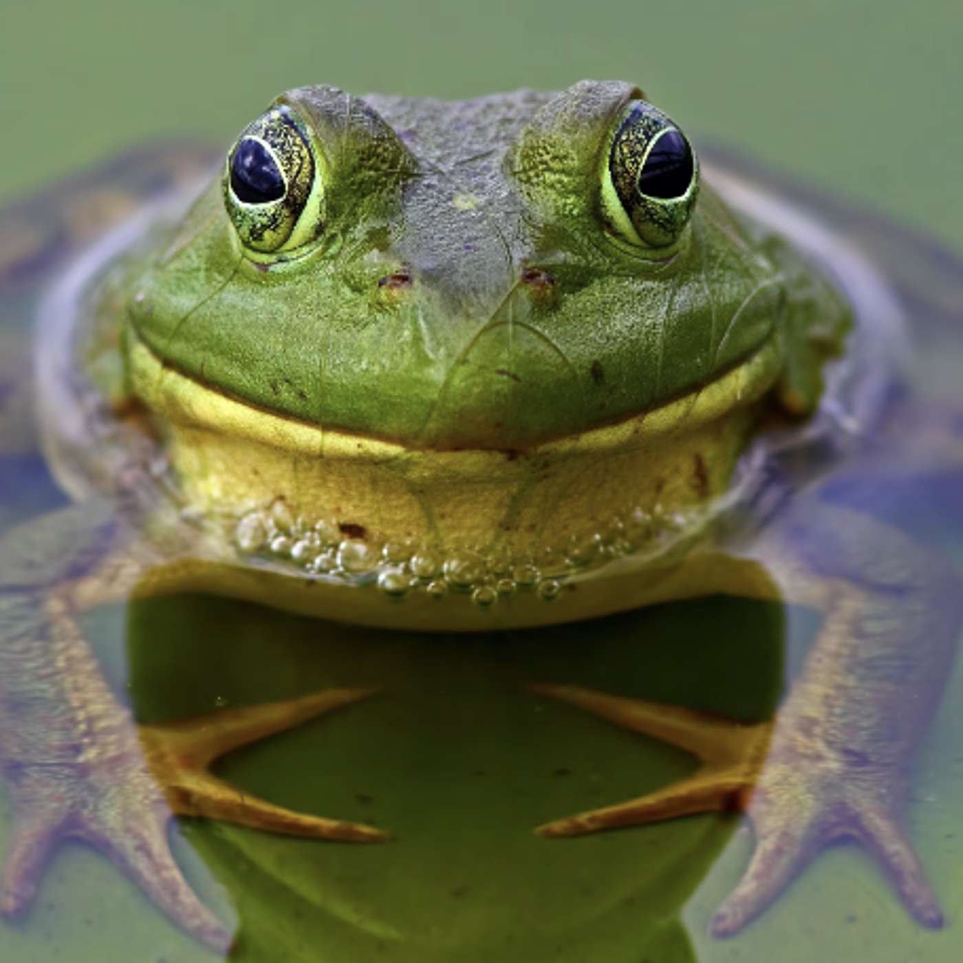 Ep 36 - Dancing in the Aisles: A story about enjoying life