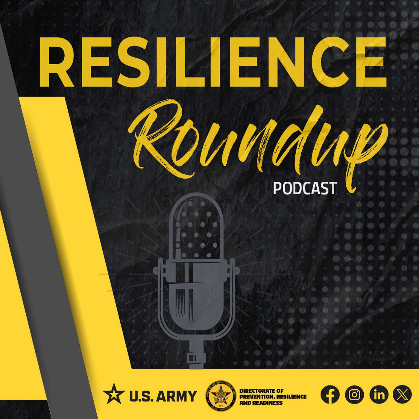 The Resilience Round Up Podcast, Episode 18 Securing Hope: Strategies for Lethal Means Safety episode artwork