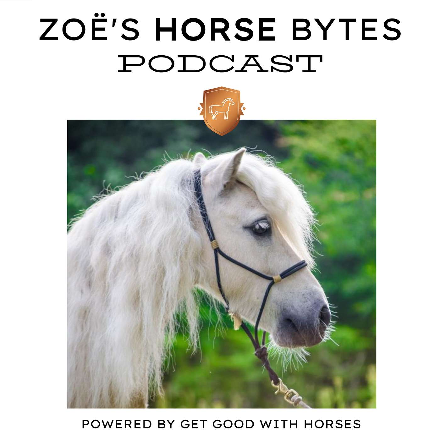 54. Horses that make you feel rushed and clumsy episode artwork