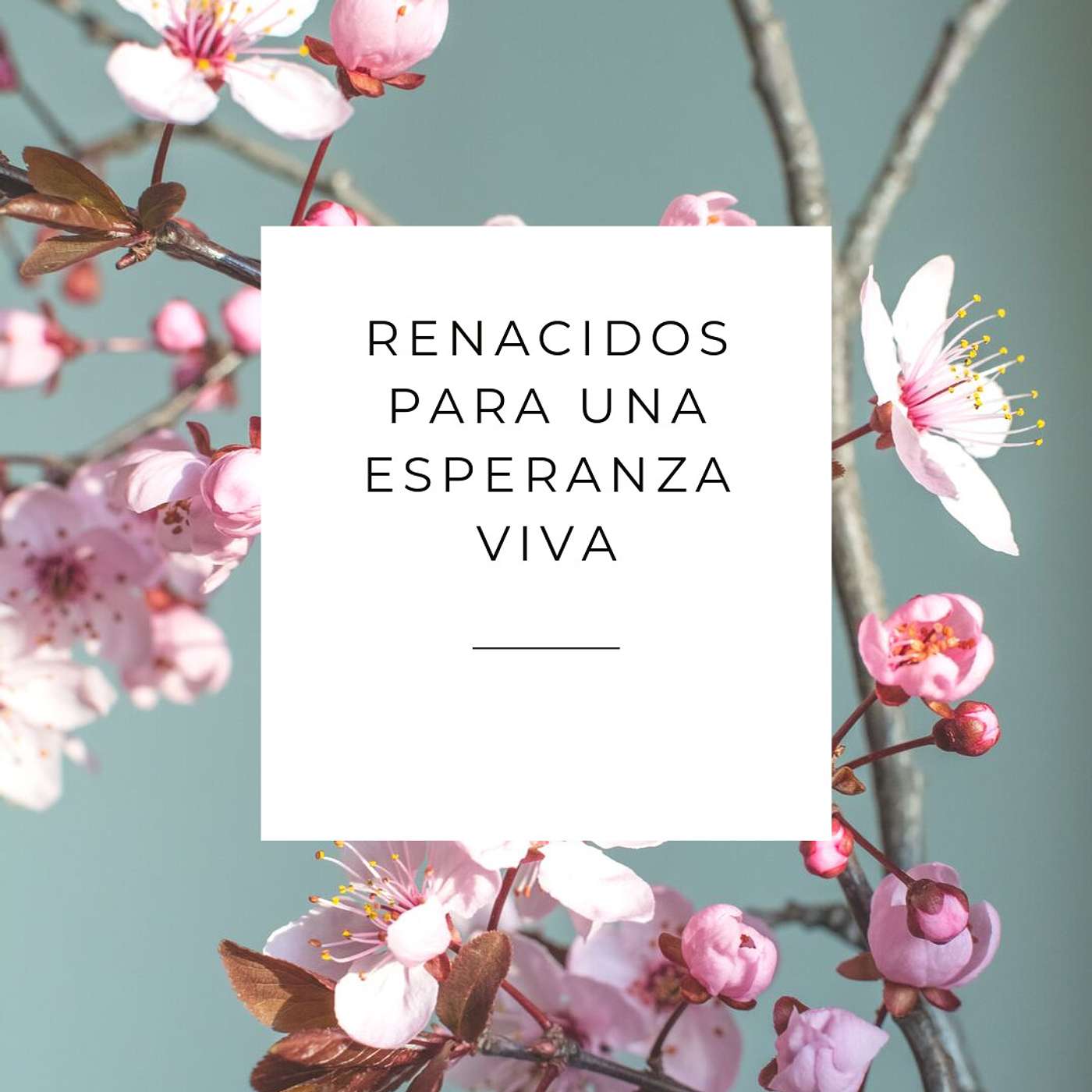 Renacidos Para Una Esperanza Viva