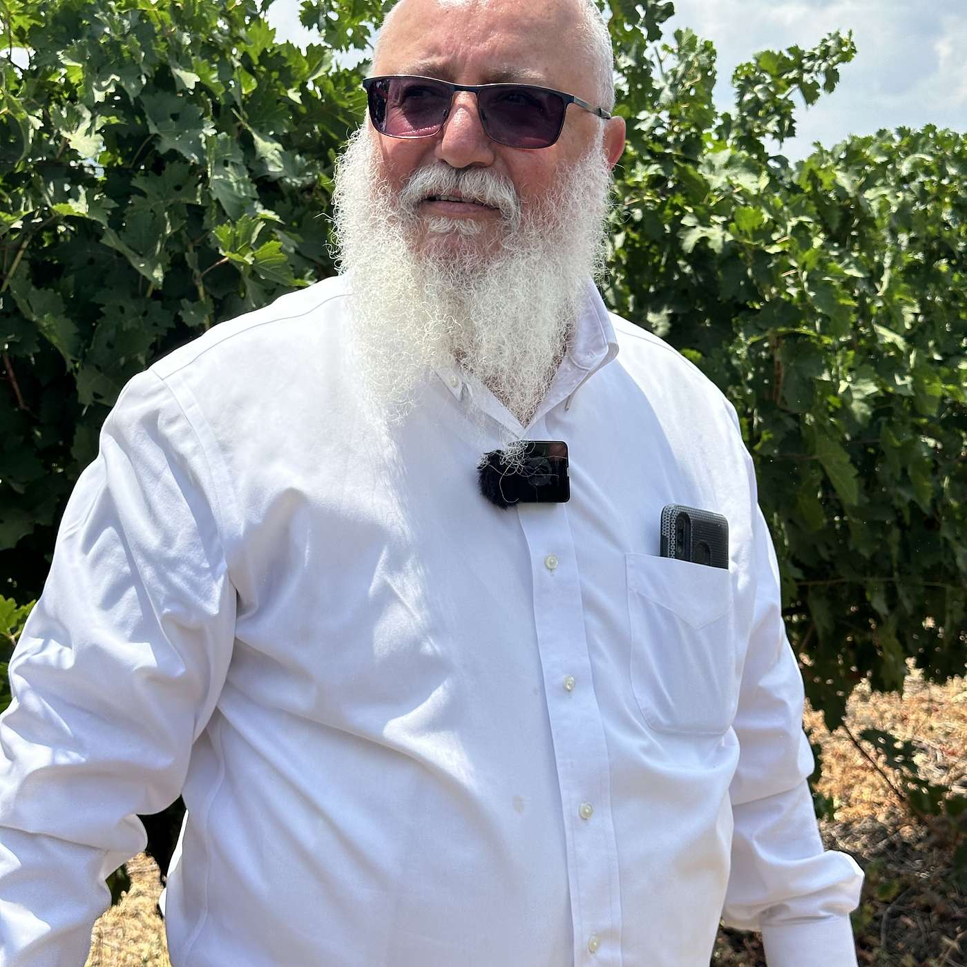 The Kosher Terroir