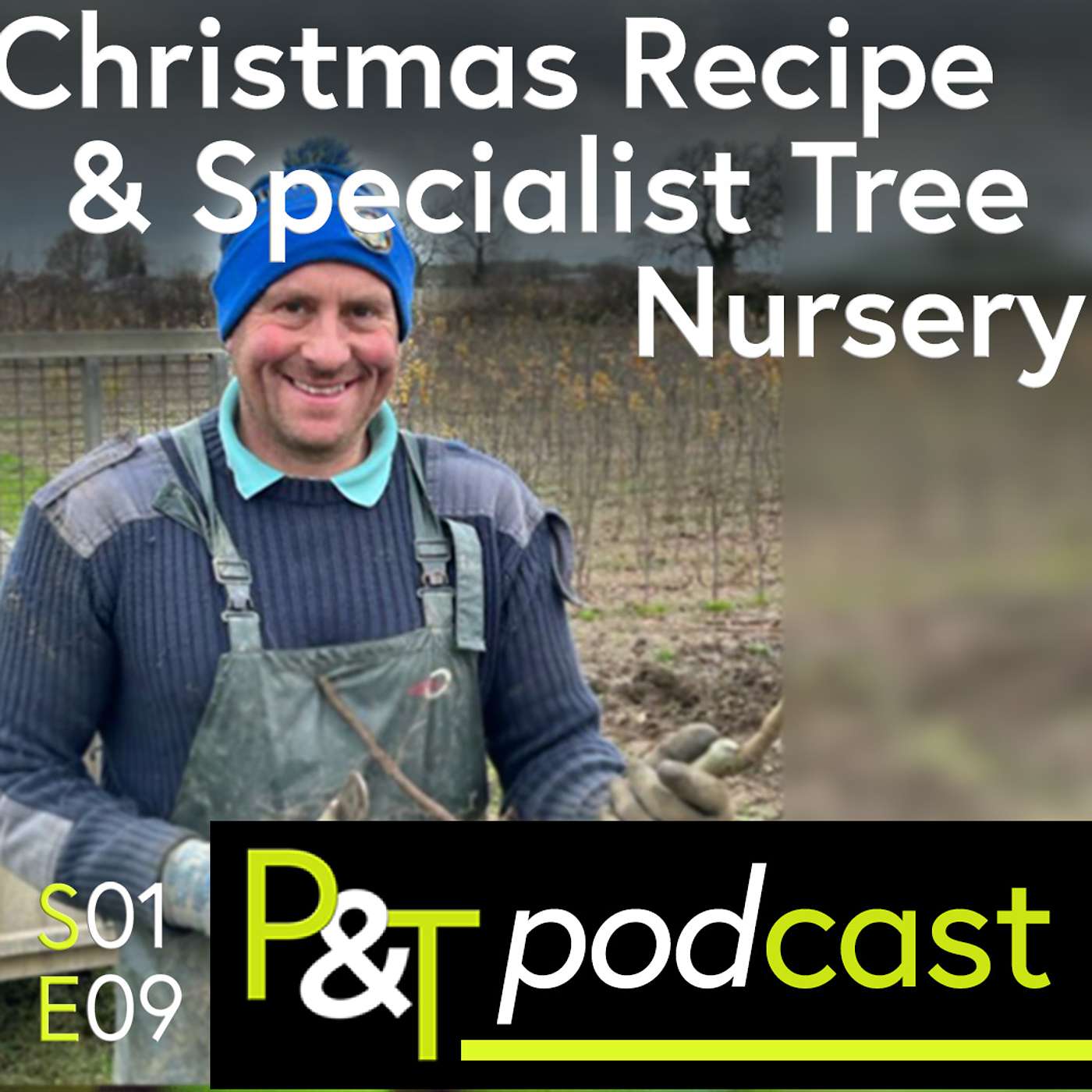 Specialist Tree Nursery, Christmas Recipe and some Festive Fun!