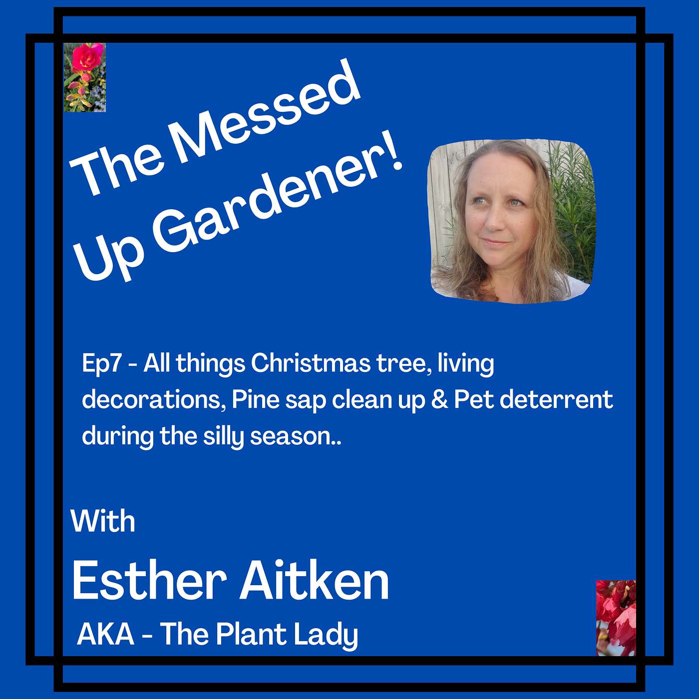 Ep7 – All things Christmas tree, Living decorations, Pine sap clean-up & Pet deterrent during the silly season.