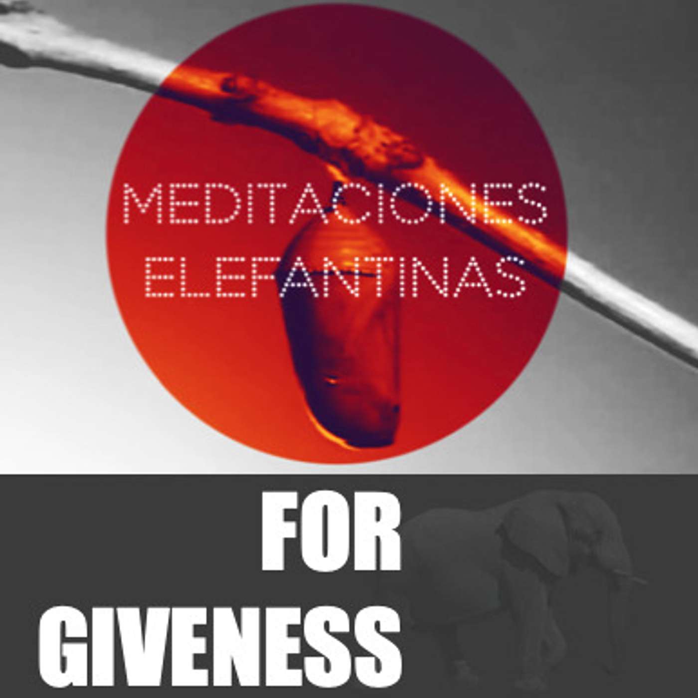 Elefantes na Neblina