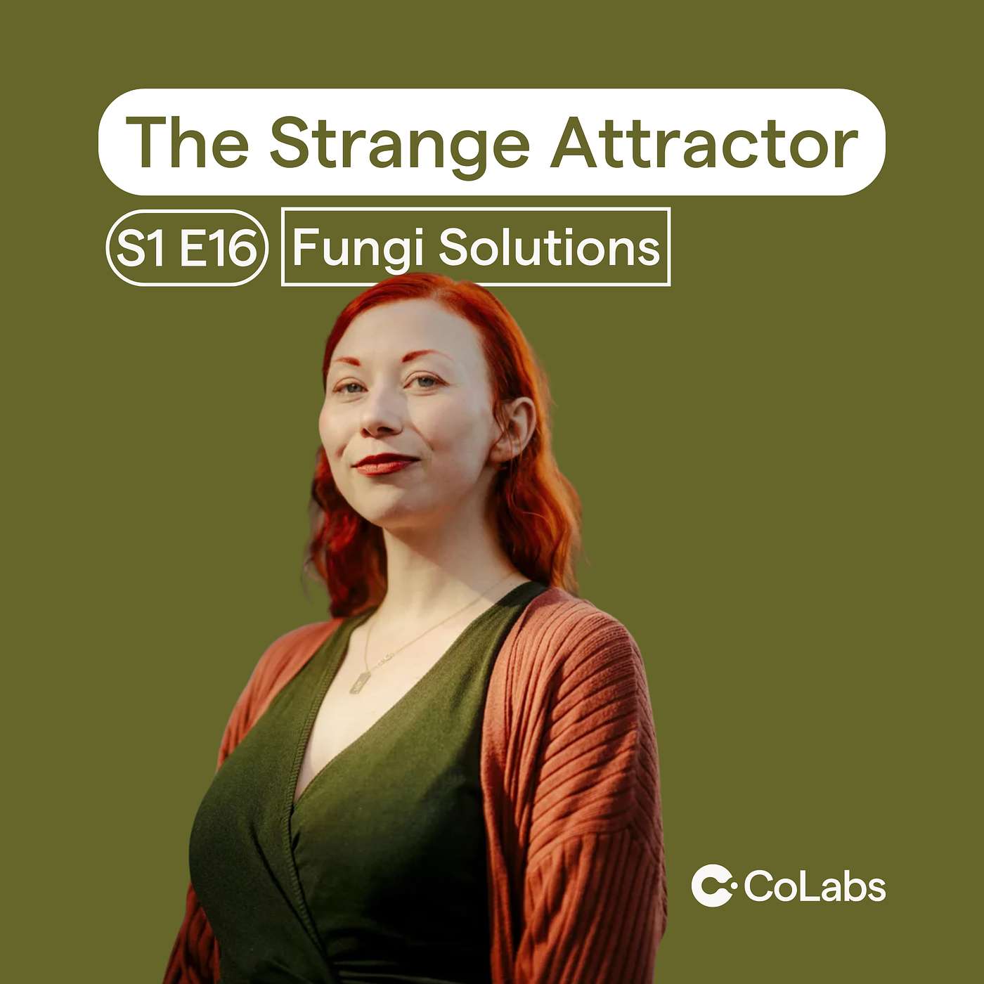 Crafting with Life: Mycelium, Biodesign, and a Regenerative Materials Economy with Amanda Morgan from Fungi Solutions | #16 Crafting with Life: Mycelium, Biodesign, and a Regenerative Materials Economy with Amanda Morgan from Fungi Solutions | #16