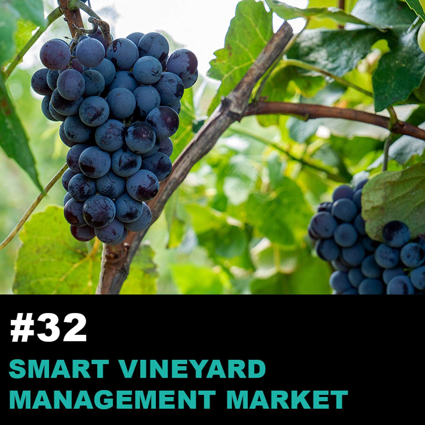 Season1 Ep32: Understanding the Impact of Smart Vineyard Management Market with Piyush Harsh episode artwork