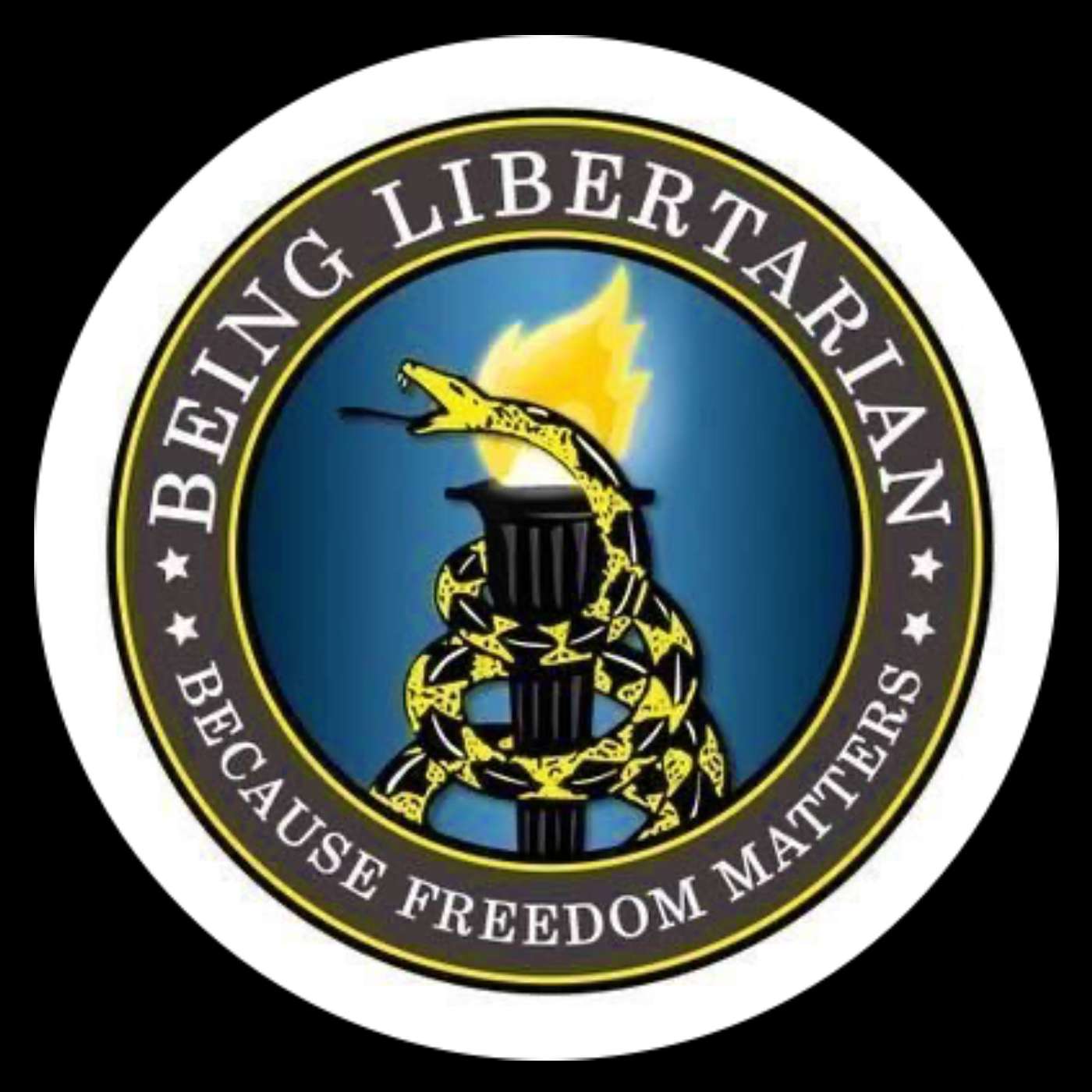 Being Libertarian Series: Divided We Fall pt 1