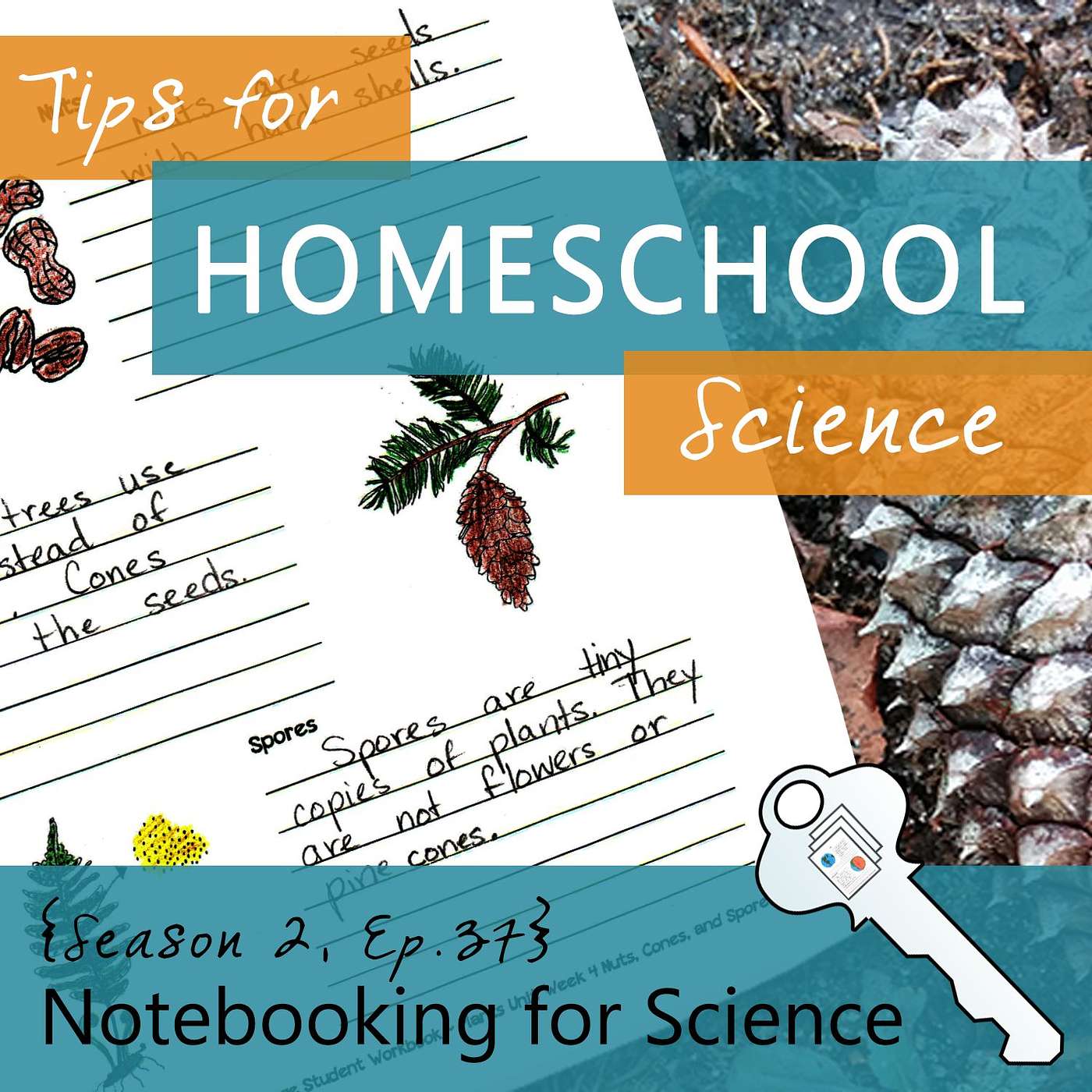 Tips for Homeschool Science Podcast from Elemental Science