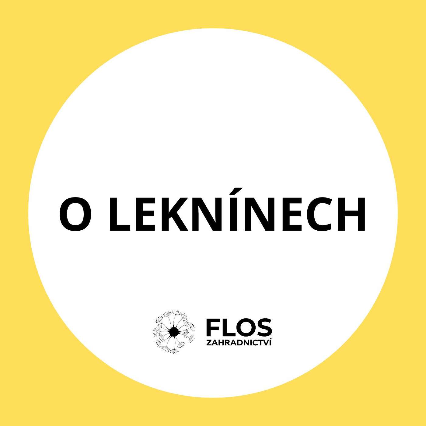 O leknínech