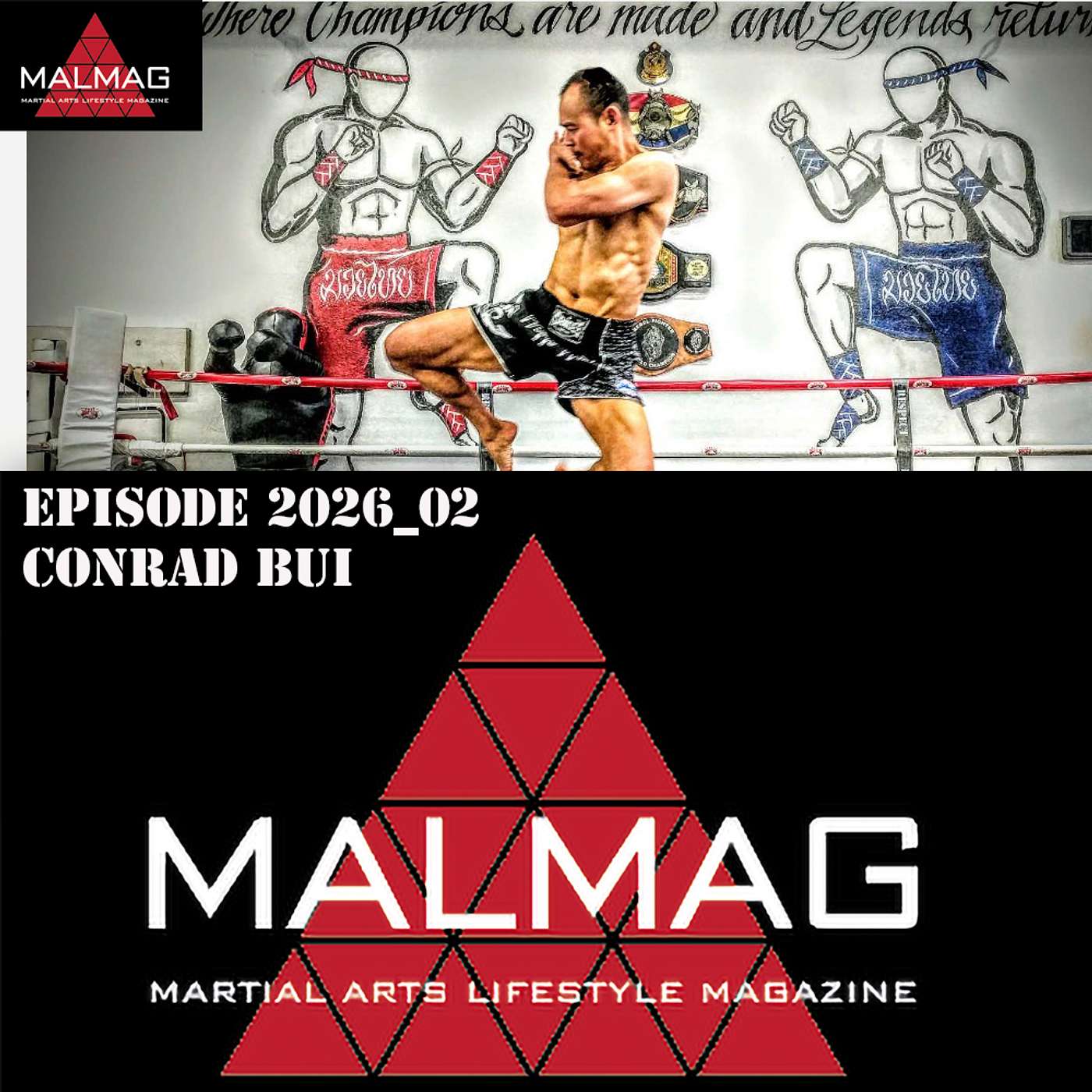 The Martial Arts Lifestyle Podcast