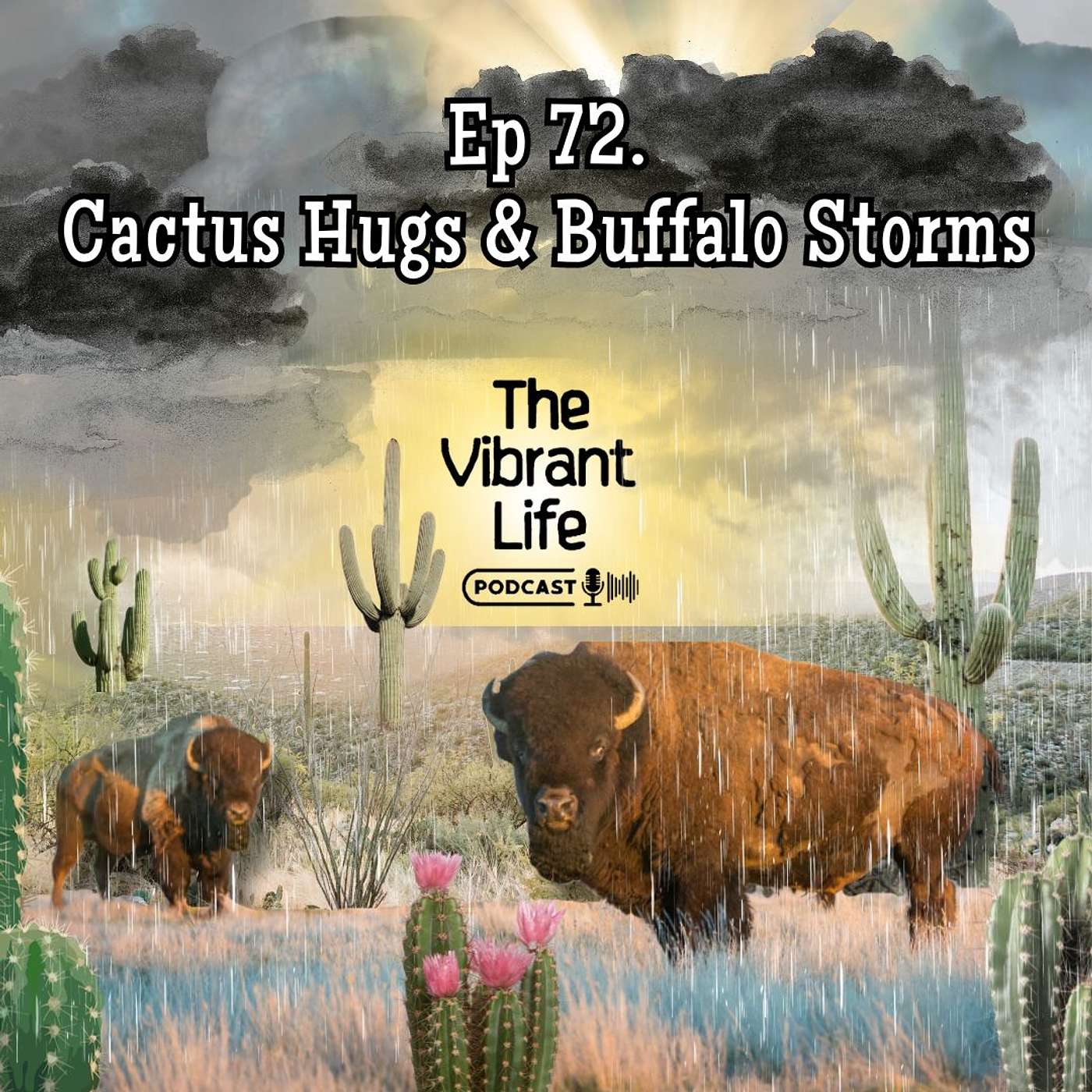 Ep 72. Cactus Hugs And Buffalo Storms