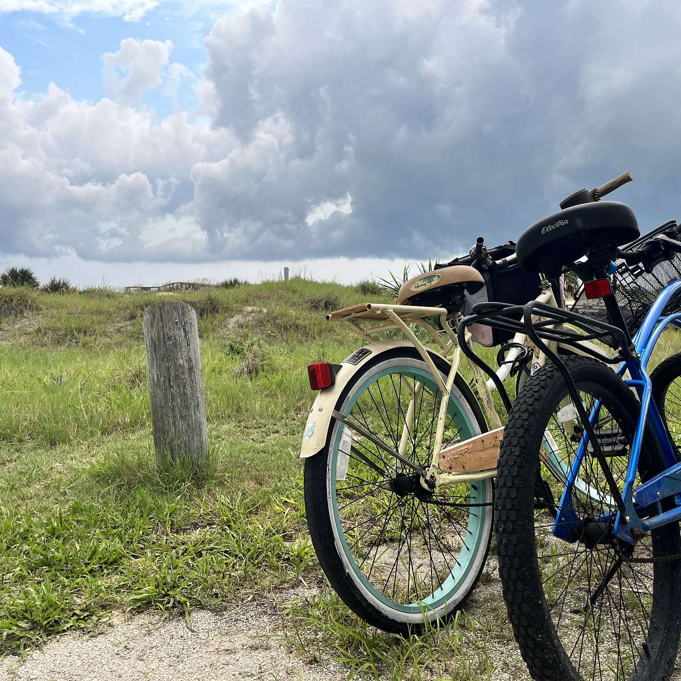 Episode 116: It's Getting Hot Out Here: How To Help Cool Florida
