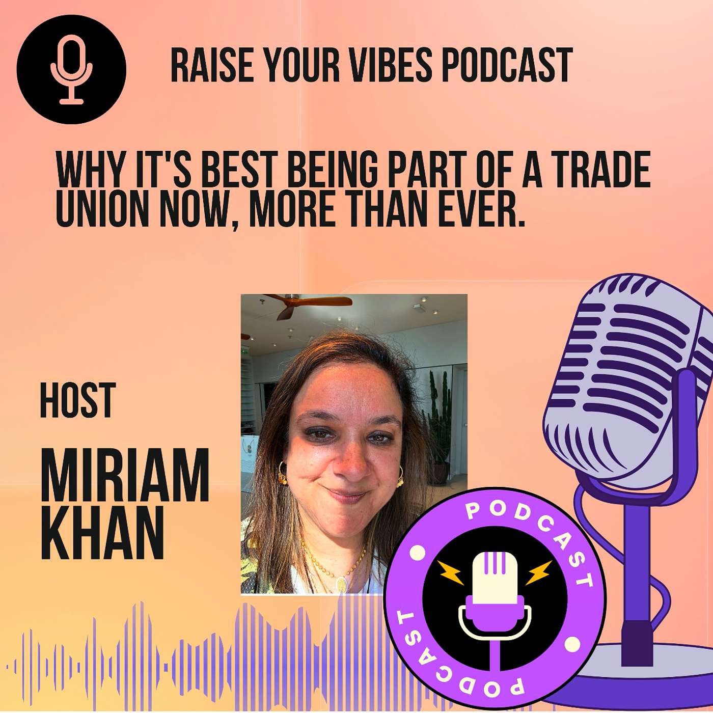 Raise Your Vibes Podcast