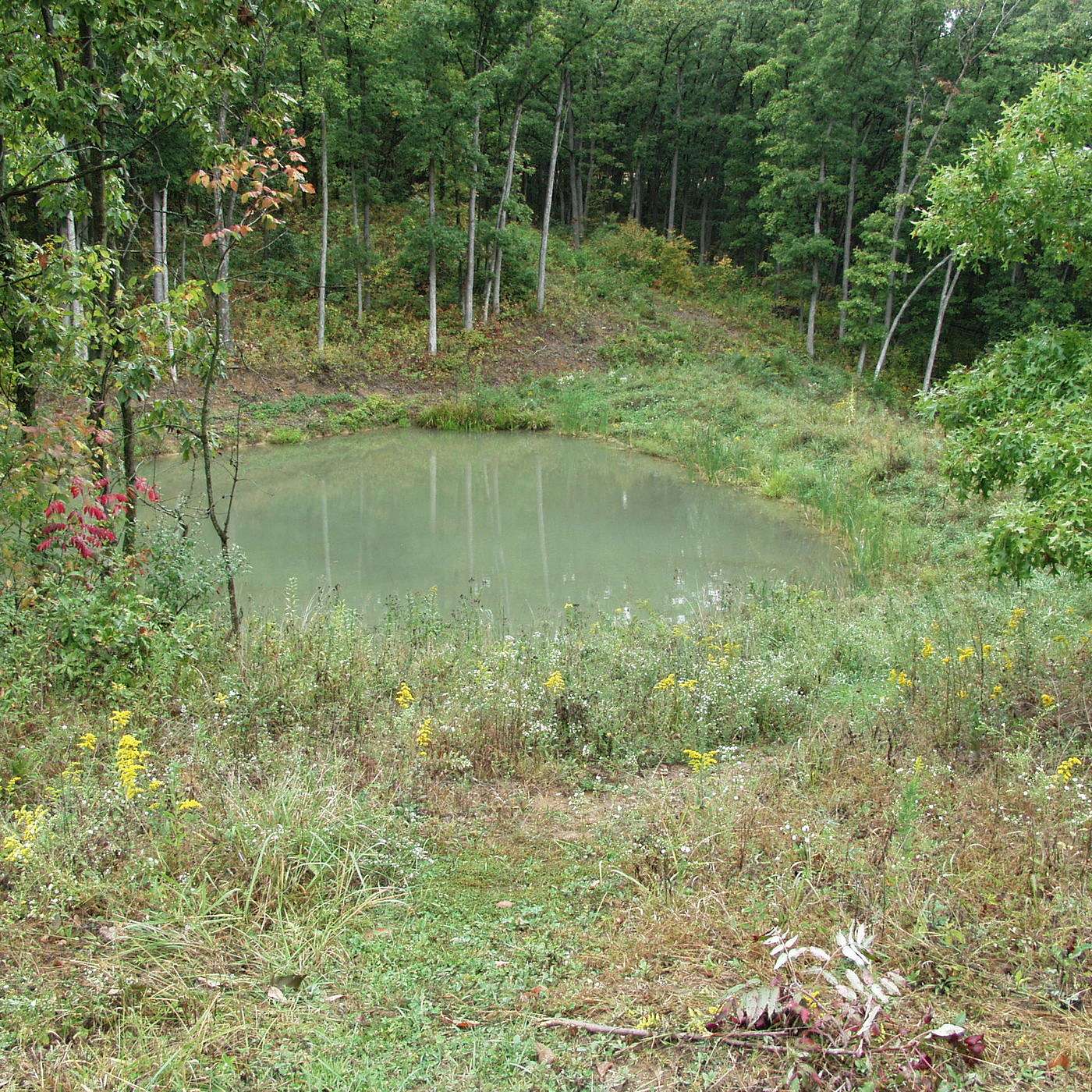 Episode 34: Conservation & Why It Matters For Preppers