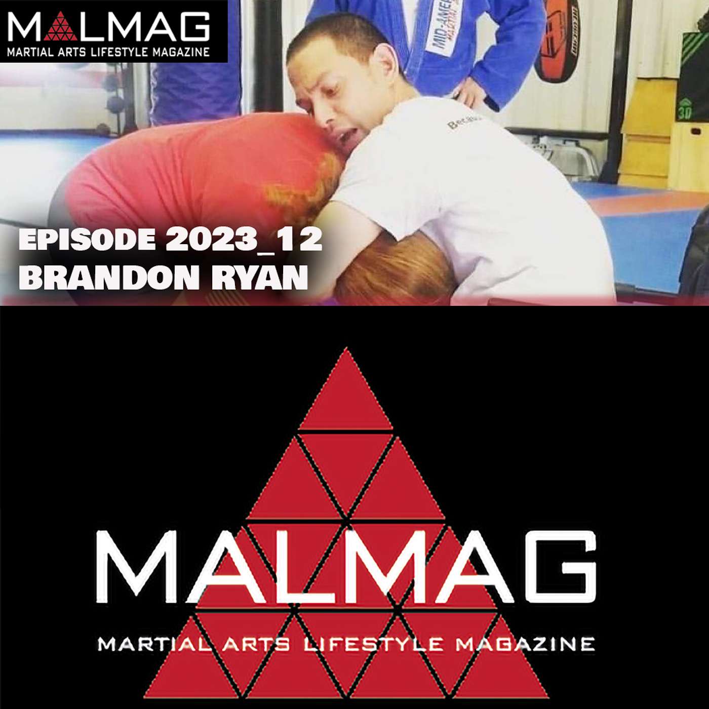 The Martial Arts Lifestyle Podcast