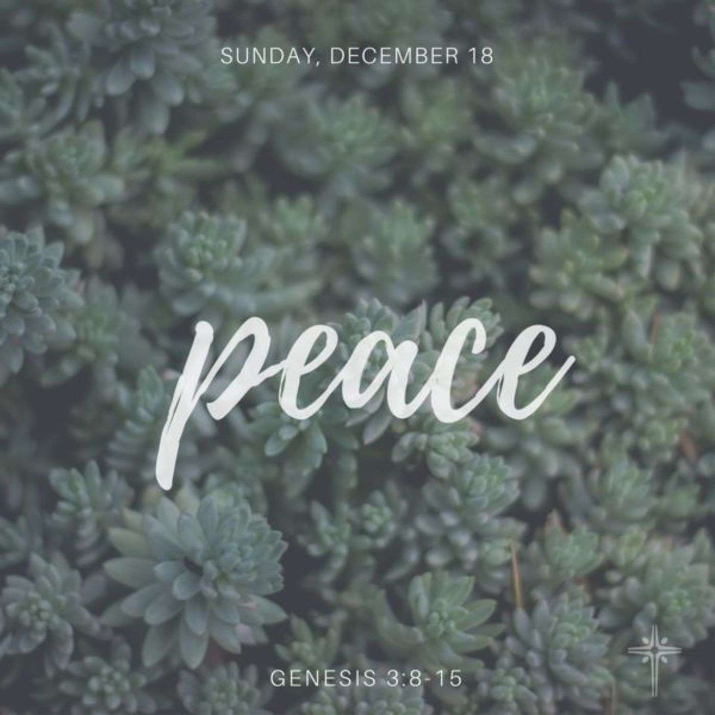 12/18/2016 Genesis 3:8-15