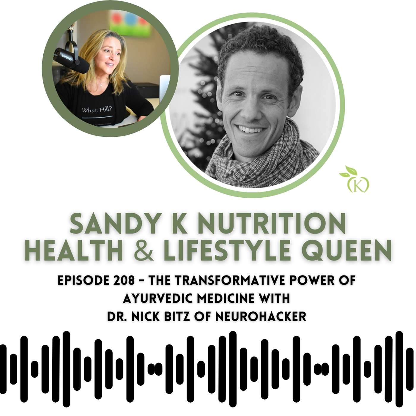 Episode 208 - The Transformative Power of Ayurvedic Medicine with Dr. Nick Bitz of Neurohacker