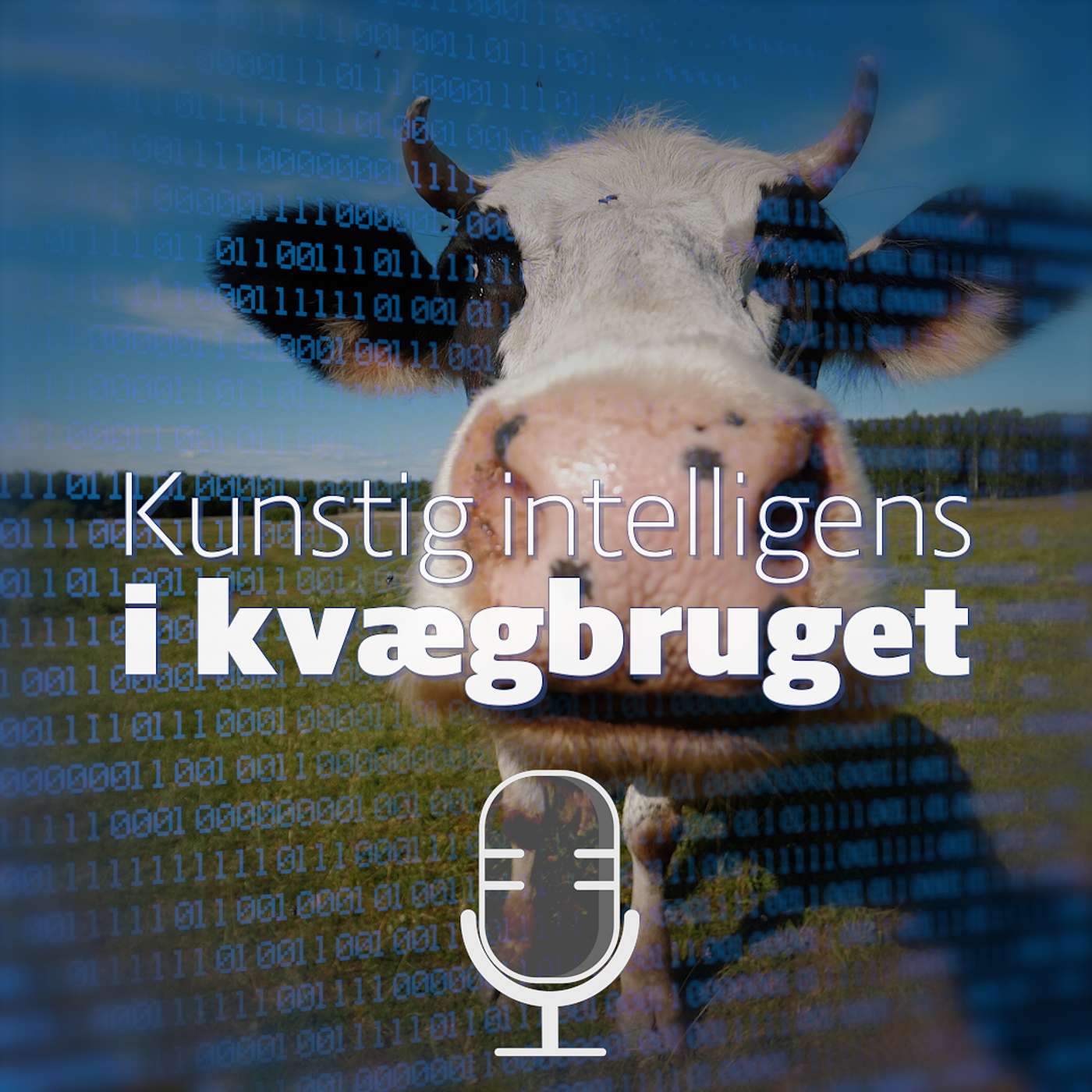 Kunstig intelligens i kvægbruget 3: Klovregistreringer via kunstig intelligens og kamerateknologi