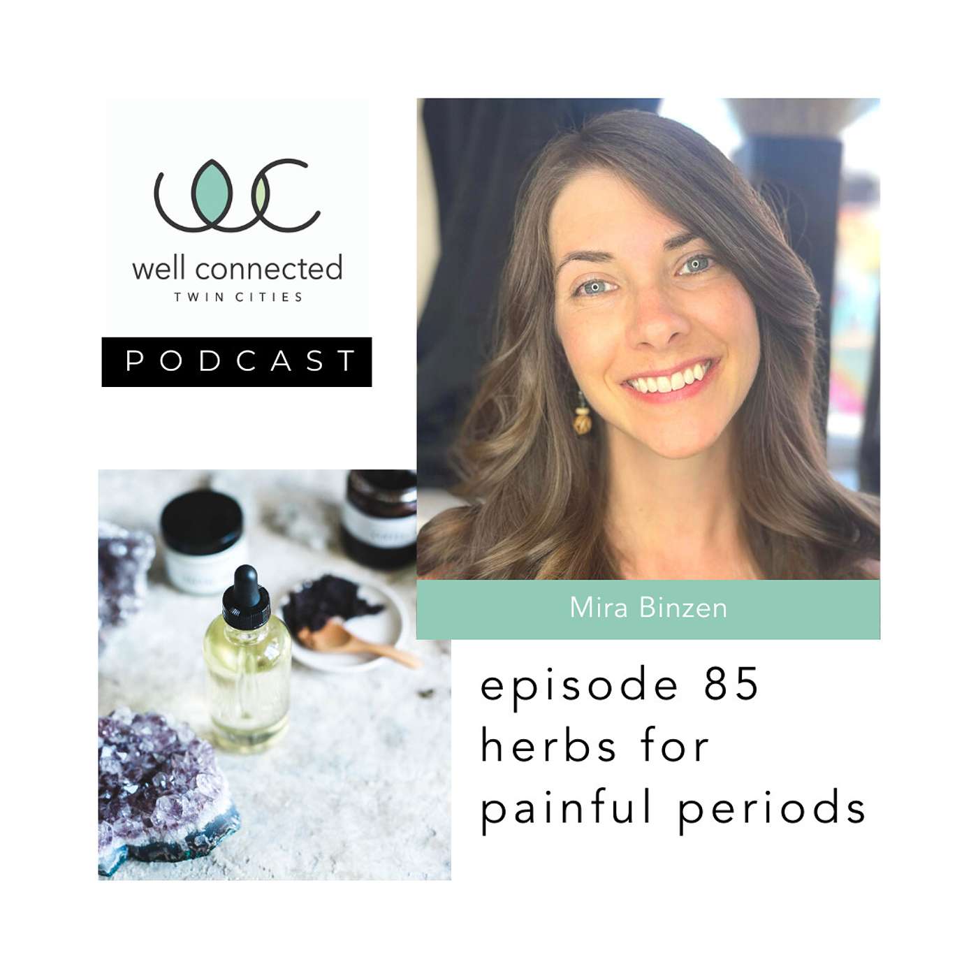Well Connected Twin Cities Podcast