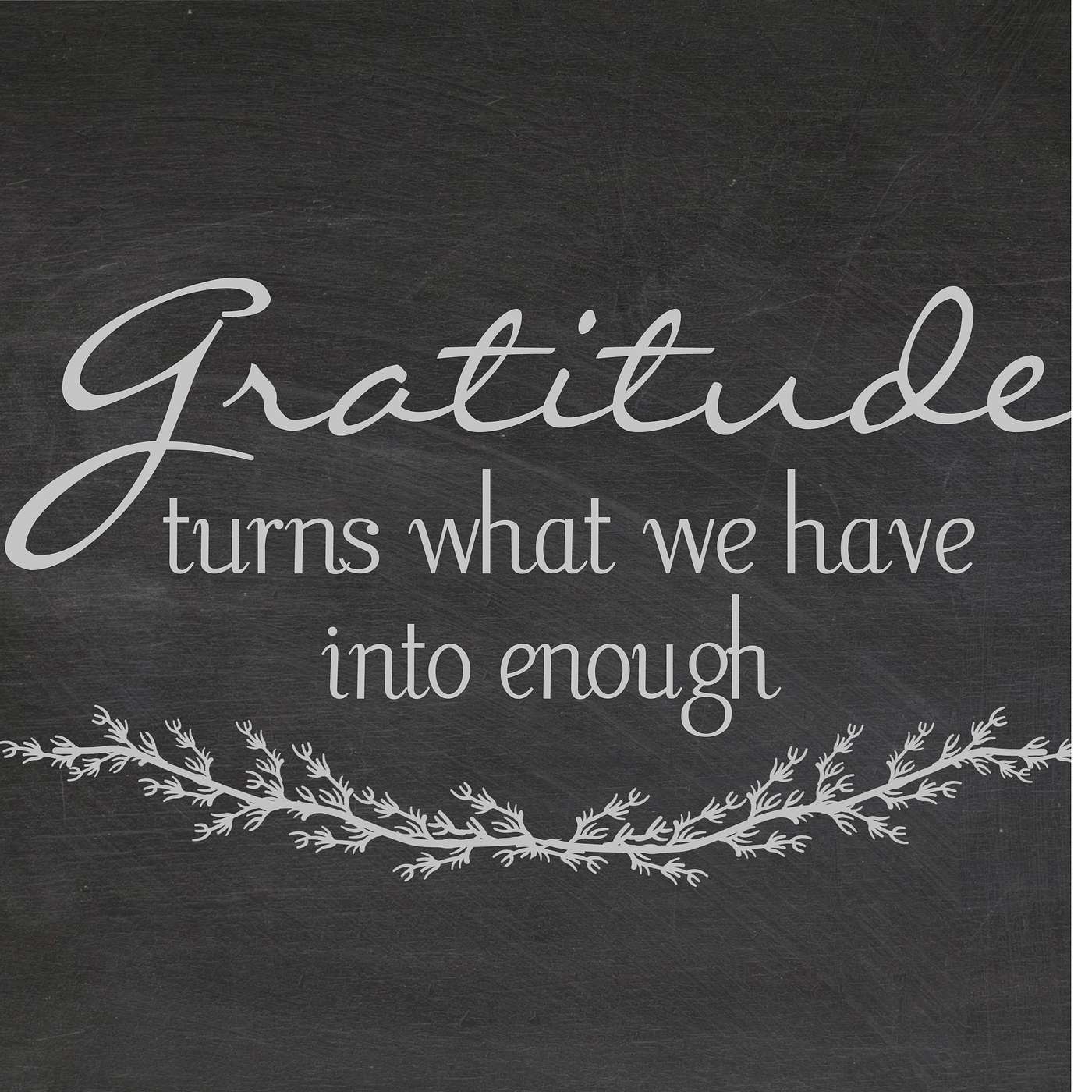 How to find Gratitude and be Grateful in a Instant Gratification World episode artwork