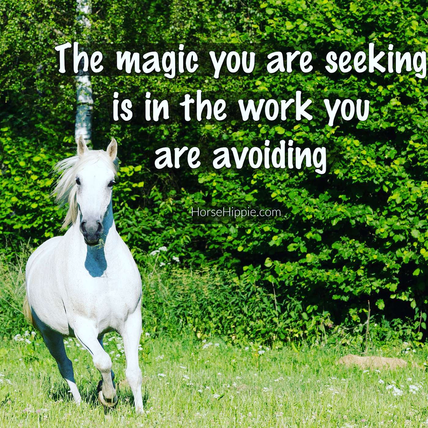 In Action or Inactive?