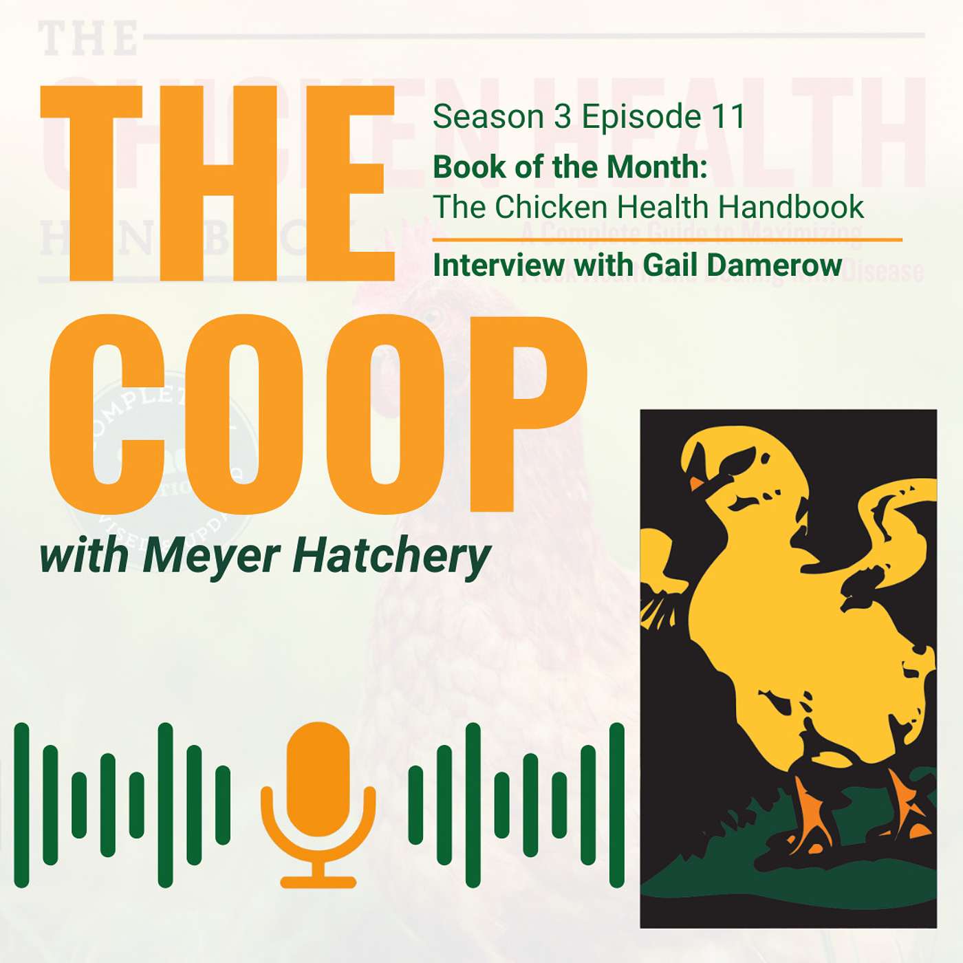 July Book of the Month - Interview with Gail Damerow Author of The Chicken Health Handbook