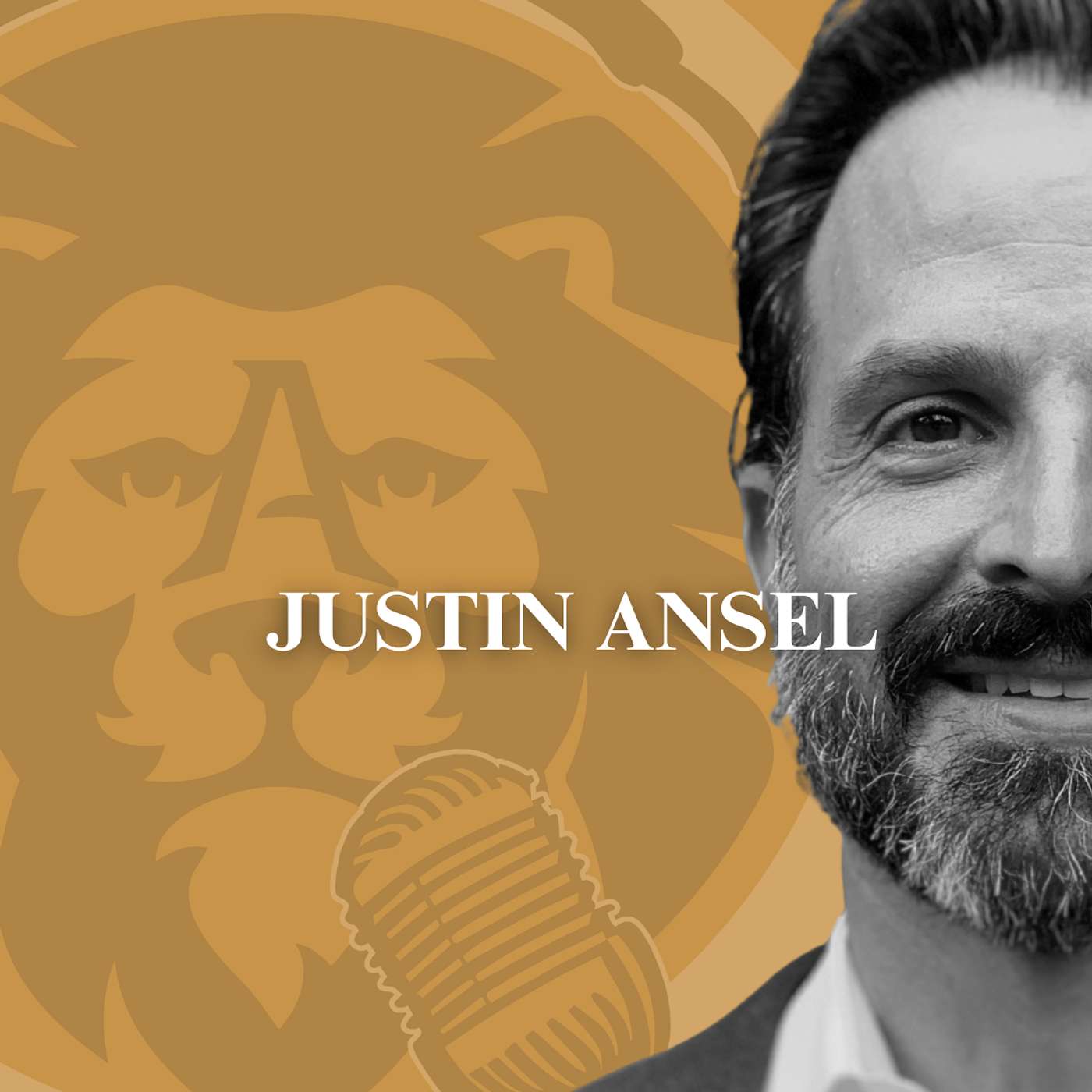 In The Arena Podcast