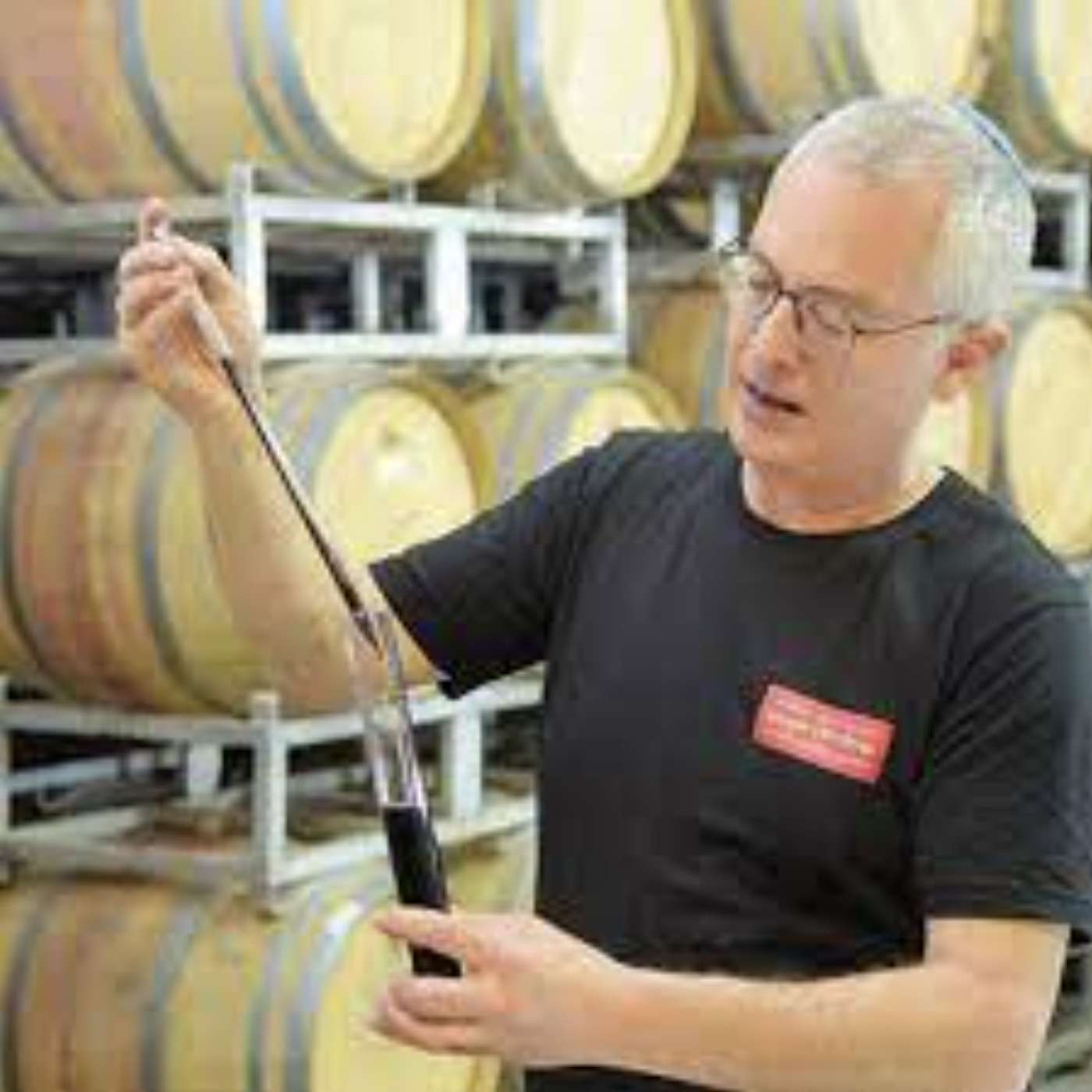 Uncorking the Secrets of Shiloh Winery with Amichai Lourie