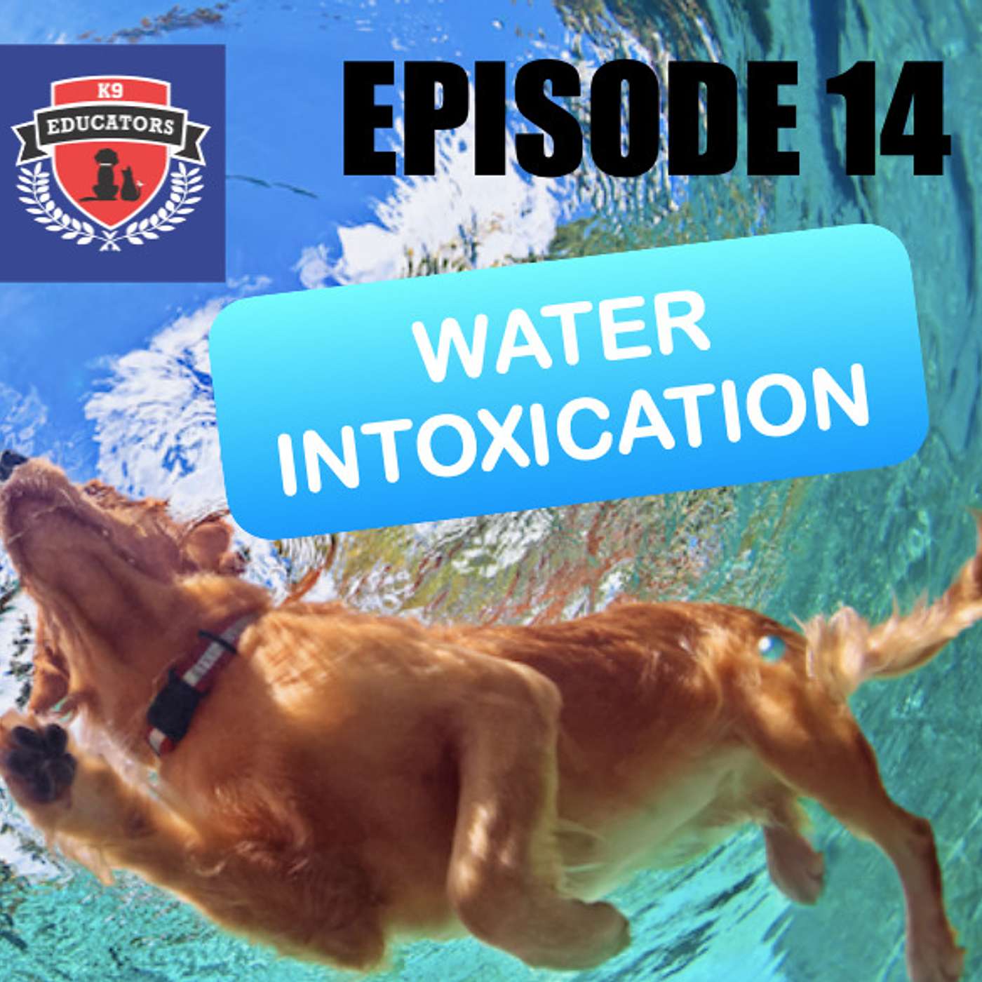 K9 Educators - To Save a Pets Life
