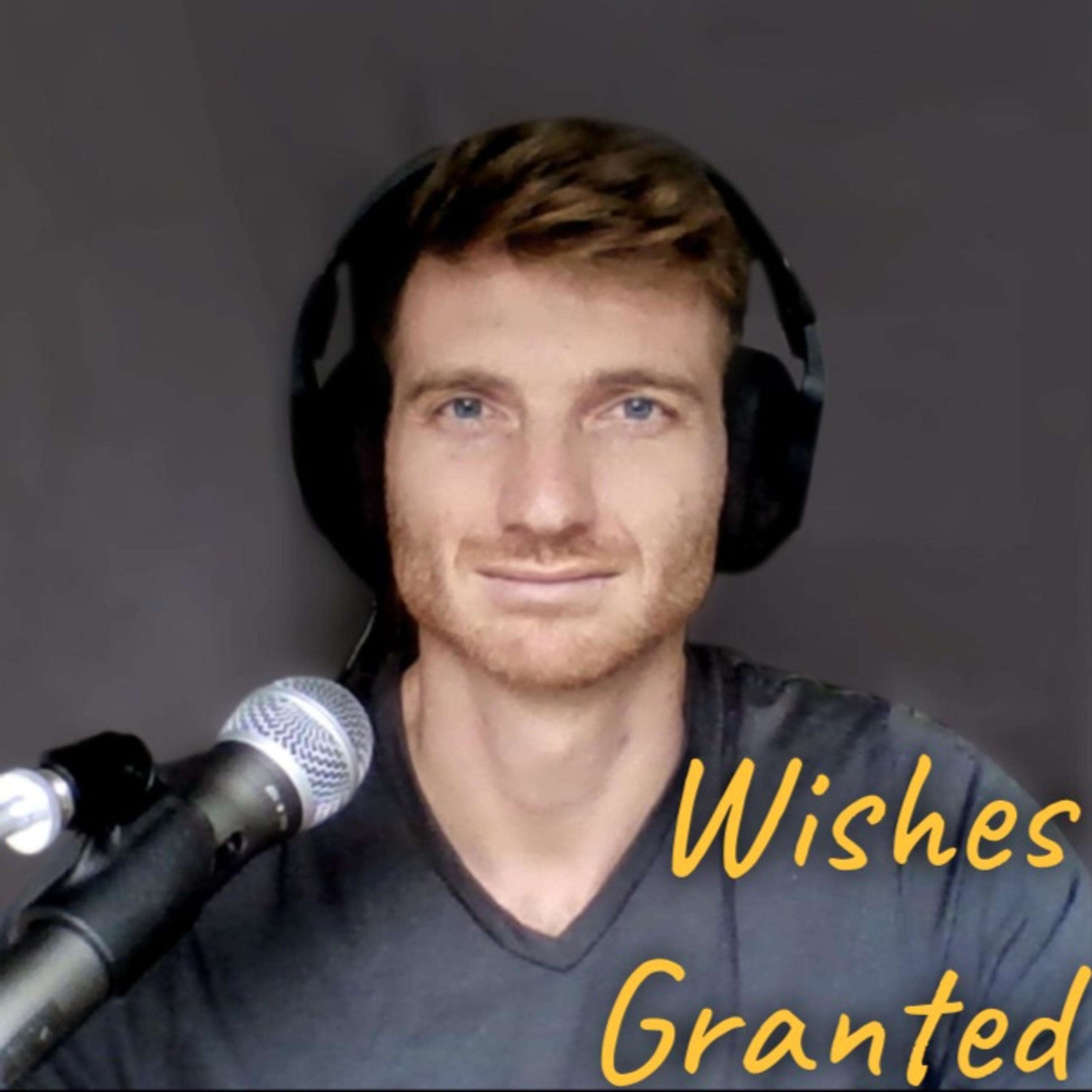 Wishes Granted--The Social Enterprise Fundraising Podcast podcast artwork