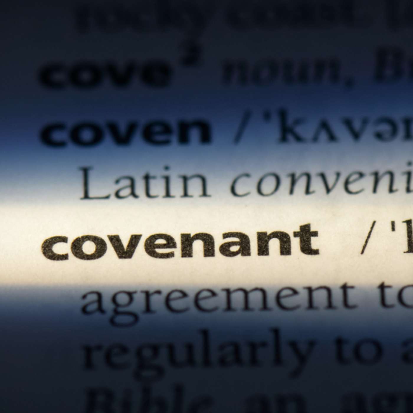 The Purpose of the Covenant (What does it mean to follow Jesus?) - Various Texts