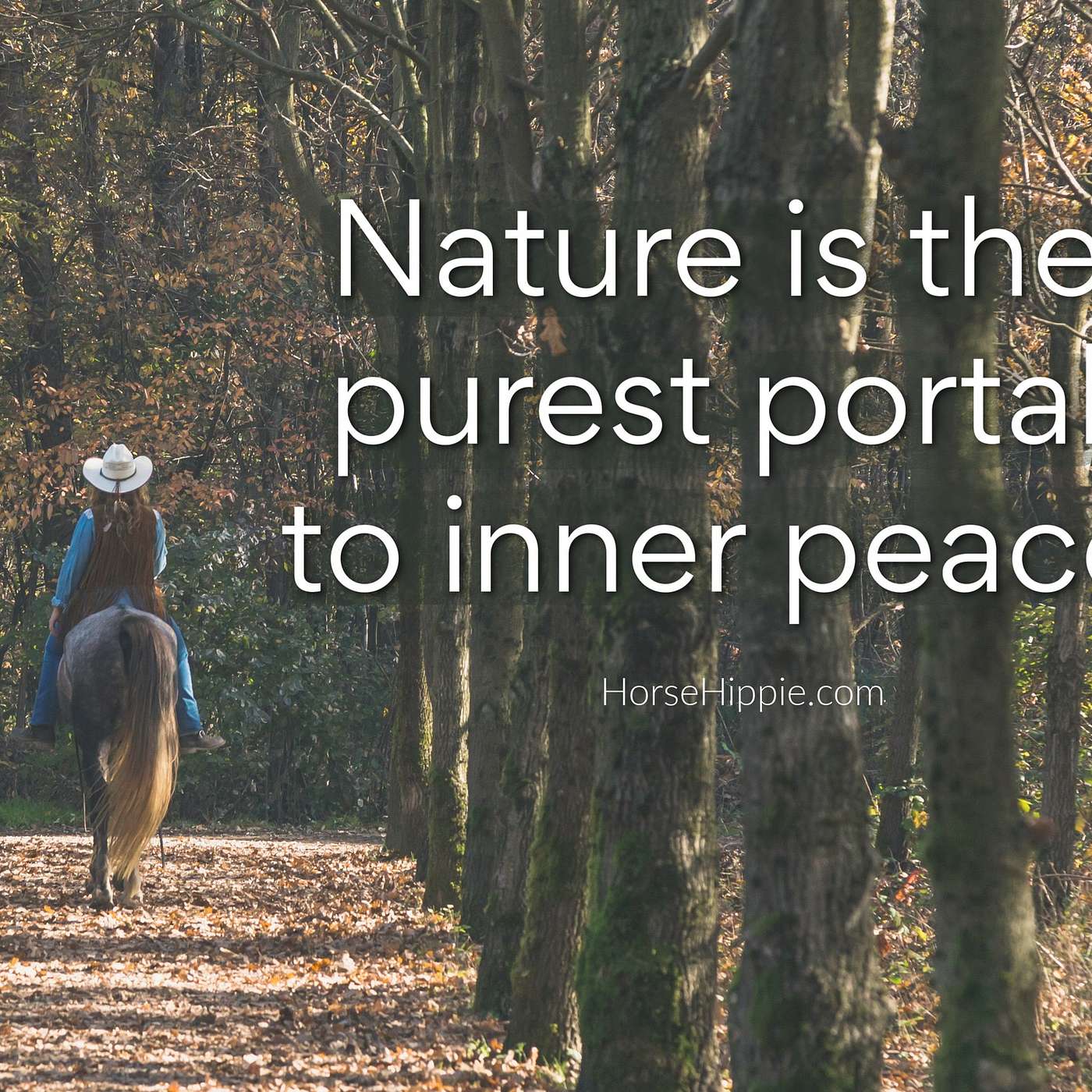 The Gifts from Nature