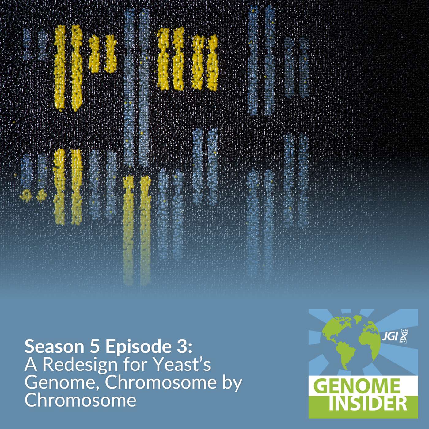 A Redesign for Yeast’s Genome, Chromosome by Chromosome - Jef Boeke, Weimin Zhang & Leslie Mitchell