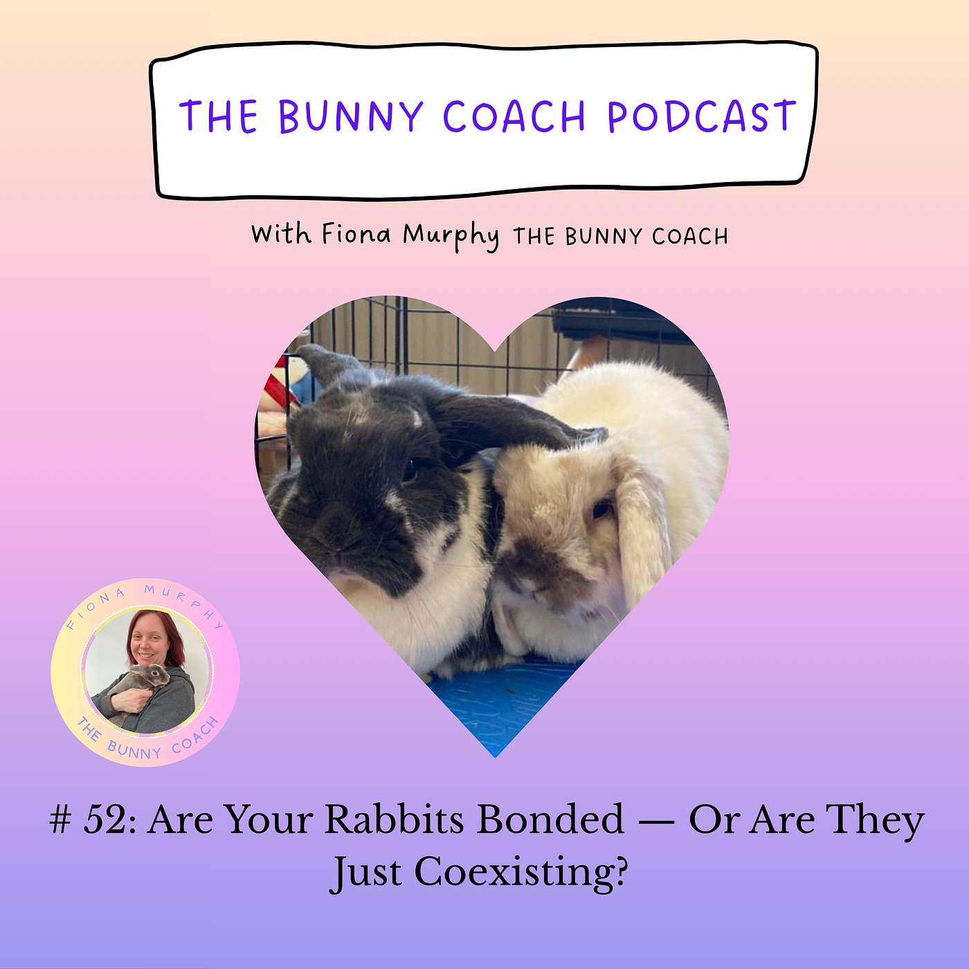 The Bunny Coach Podcast with Fiona Murphy