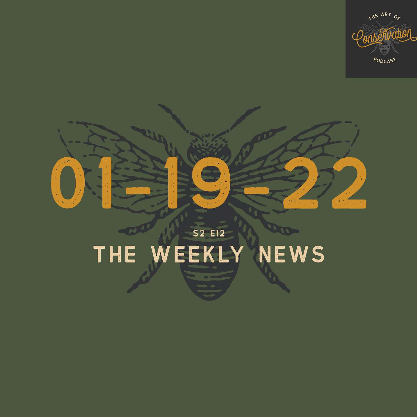 S2 E12 - The Weekly News 01-19-2021 with Simon Borchert & Shannon Elizabeth