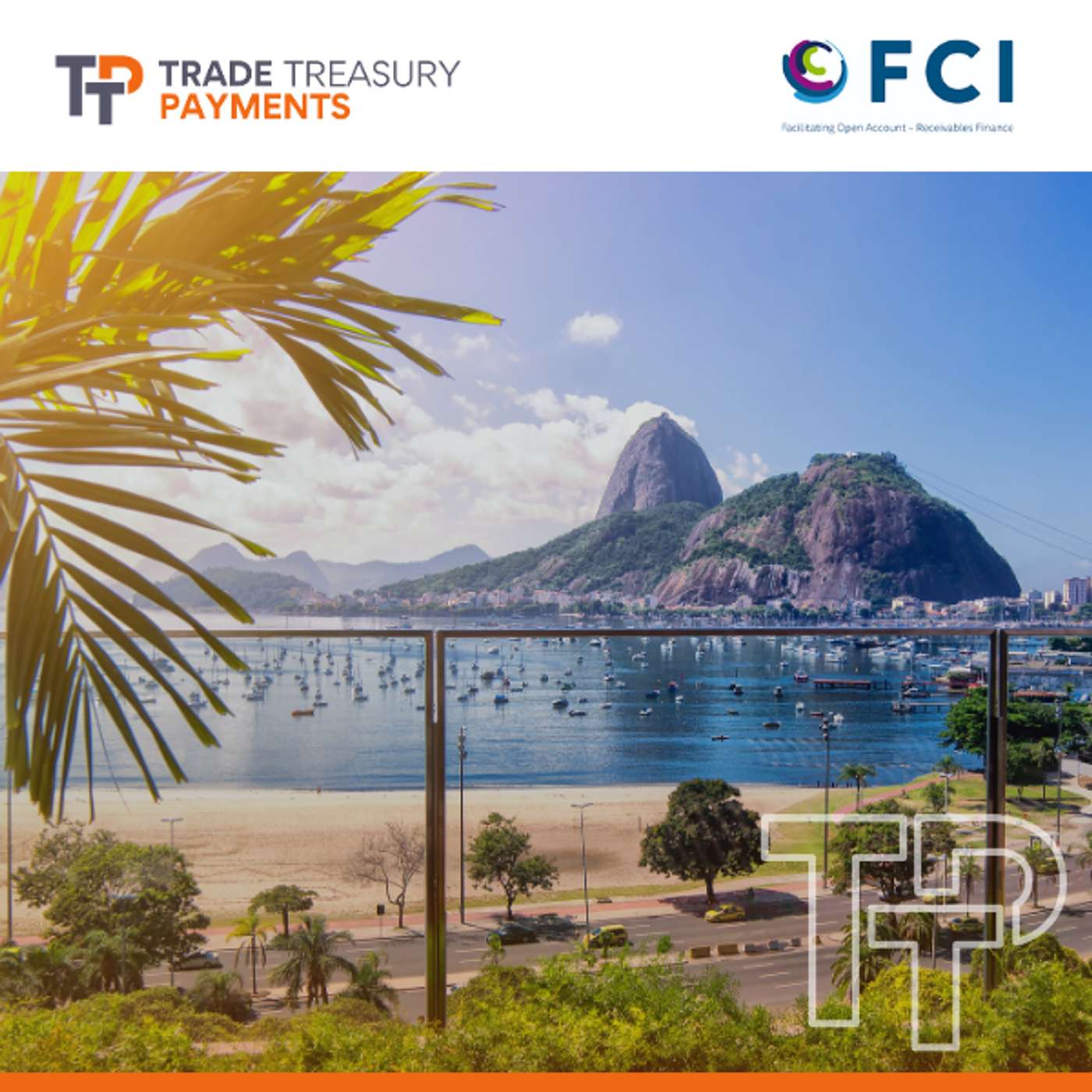 Trade Treasury Payments