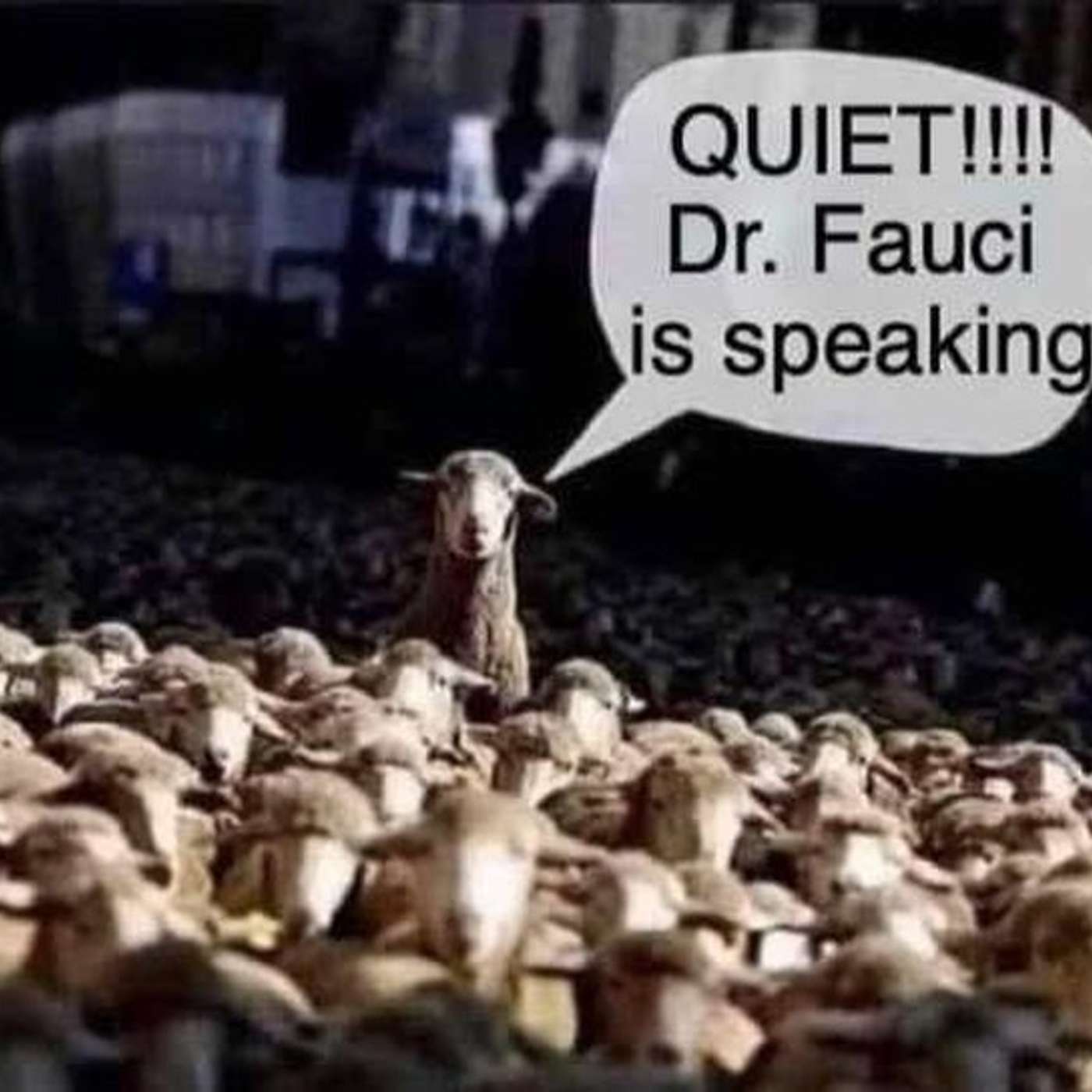 Fauci Fraud, and useless Christians episode artwork