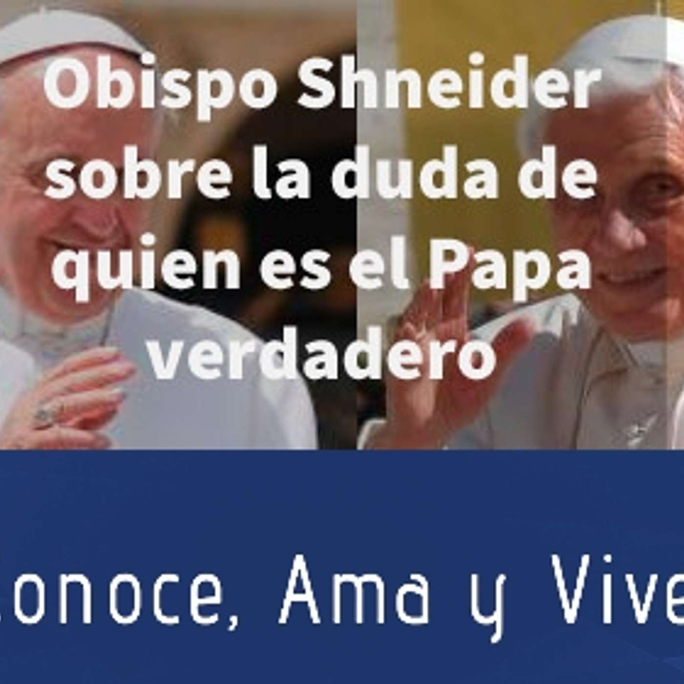Episodio 204: 🤷‍♀️ Sobre la duda de quien es el Papa Verdadero 🤔  Documento Obispo Schneider  👏 episode artwork