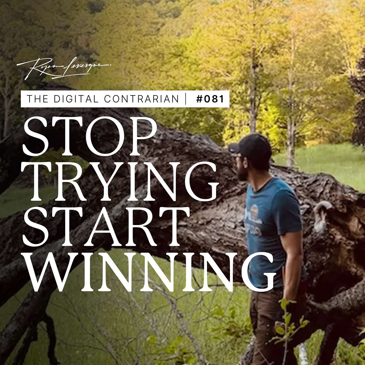 TDC #081: The “Contrarian Cannon” (Part 2) & The Surprising Nature of Breakthroughs.