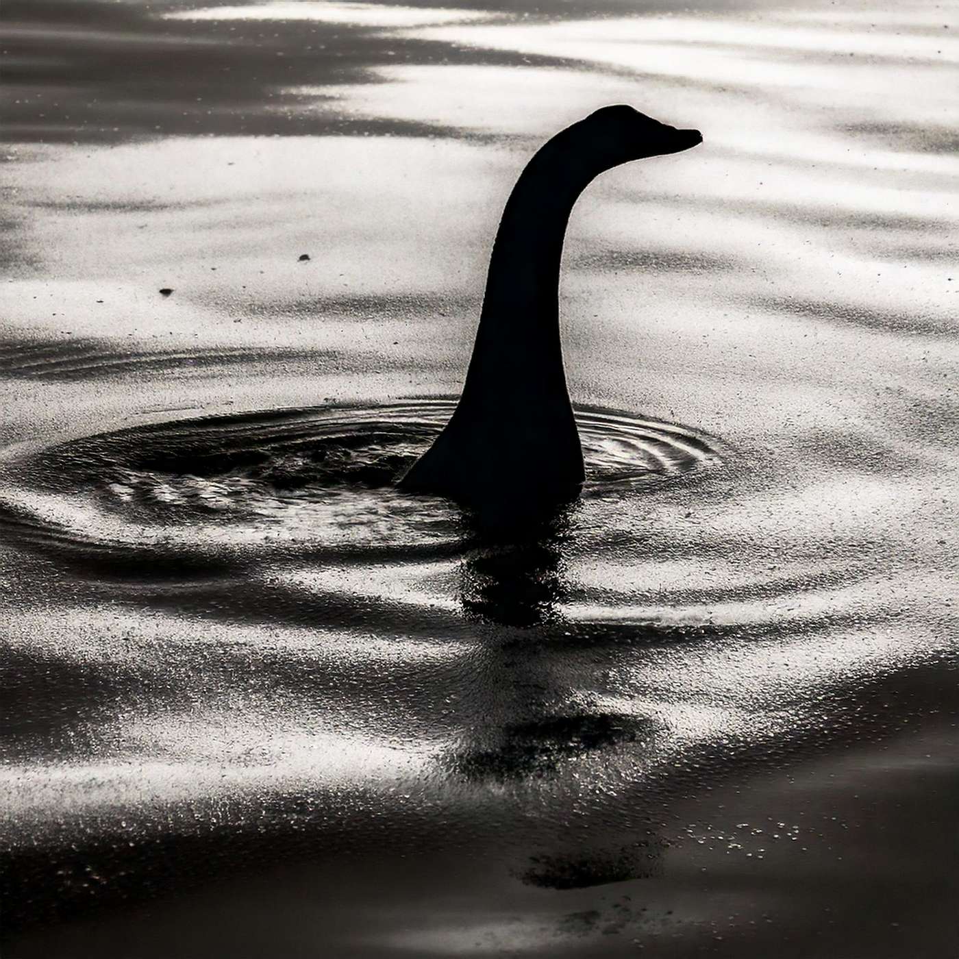 Episode 3: “The Loch Ness Monster – Mythical Beast or Murky Mystery?” episode artwork