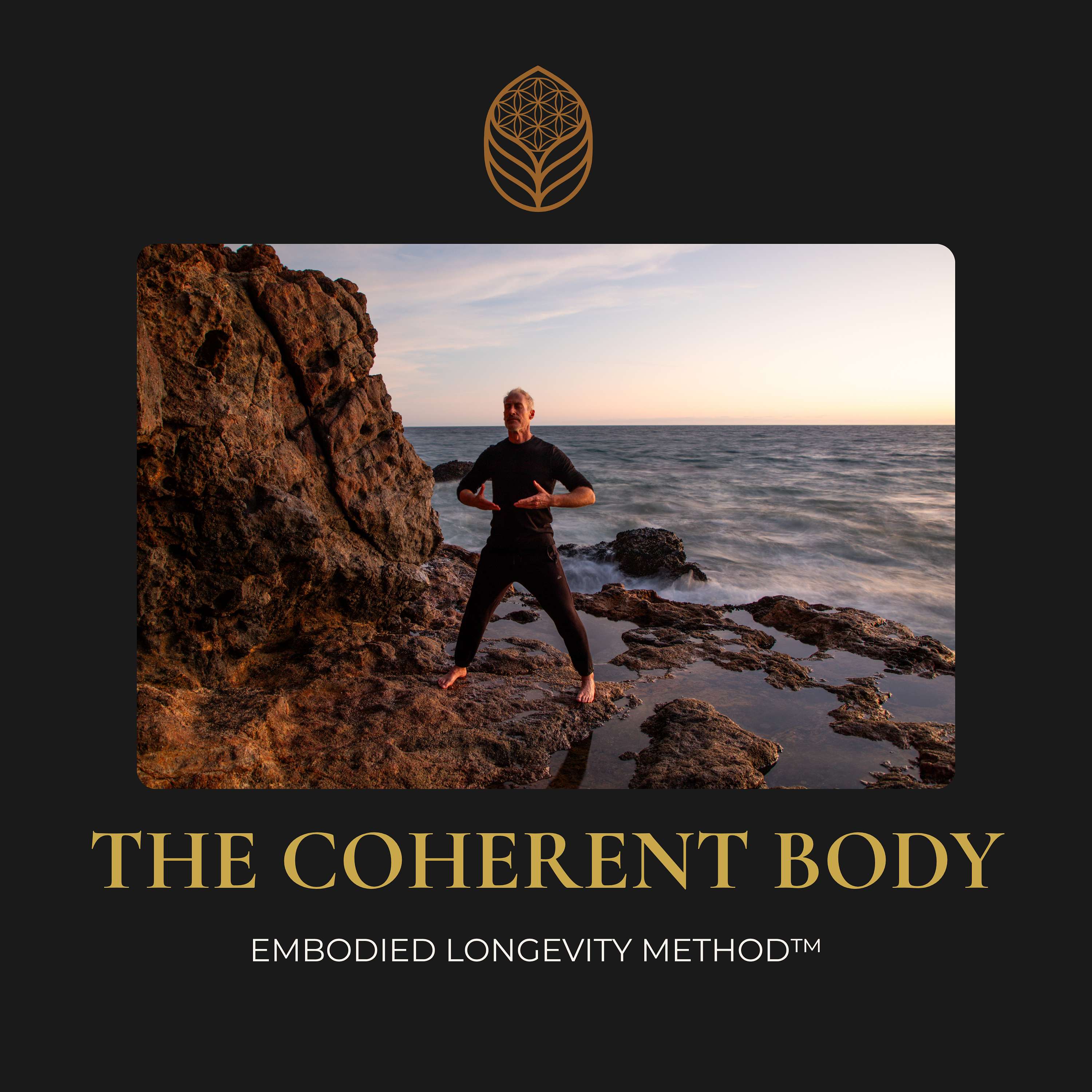 The Coherent Body