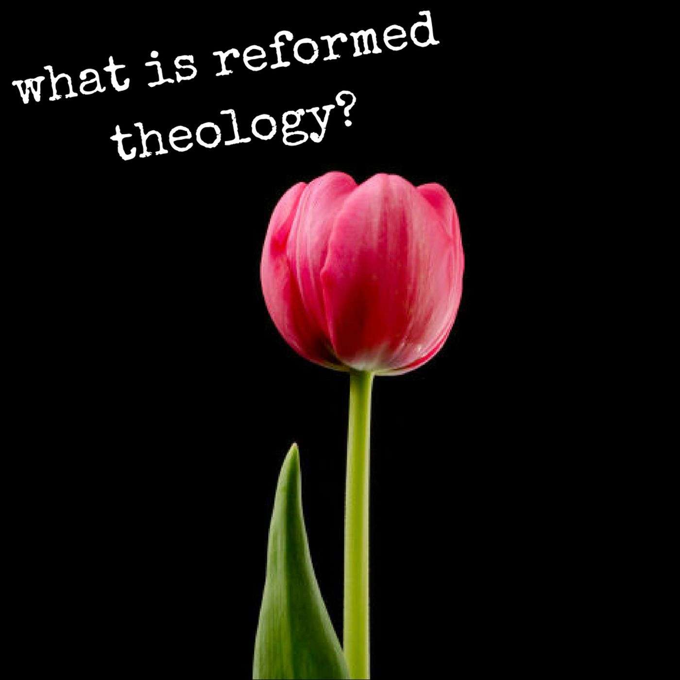Reformed Theology 10: The Grand Finale