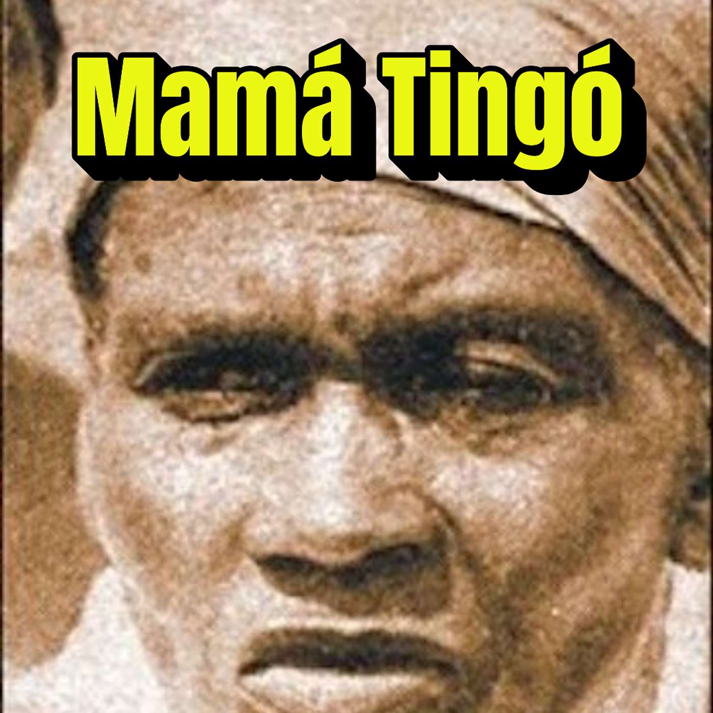 Mamá Tingó: Cuando Defender la tierra Costaba la Vida episode artwork