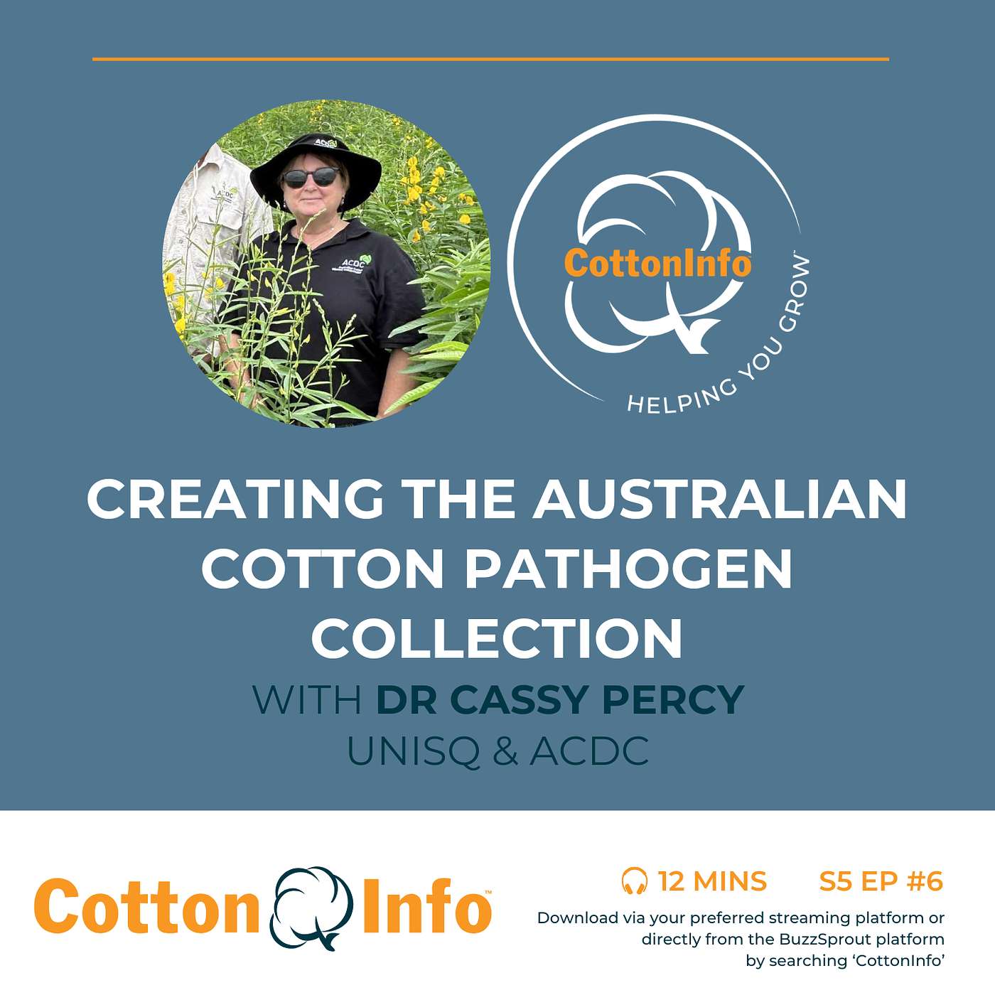 Creating the Australian Cotton Pathogen Collection with Dr Cassy Percy