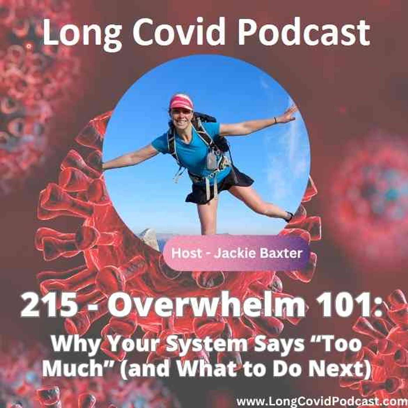 215 - Overwhelm 101: Why Your System Says “Too Much” (and What to Do Next)