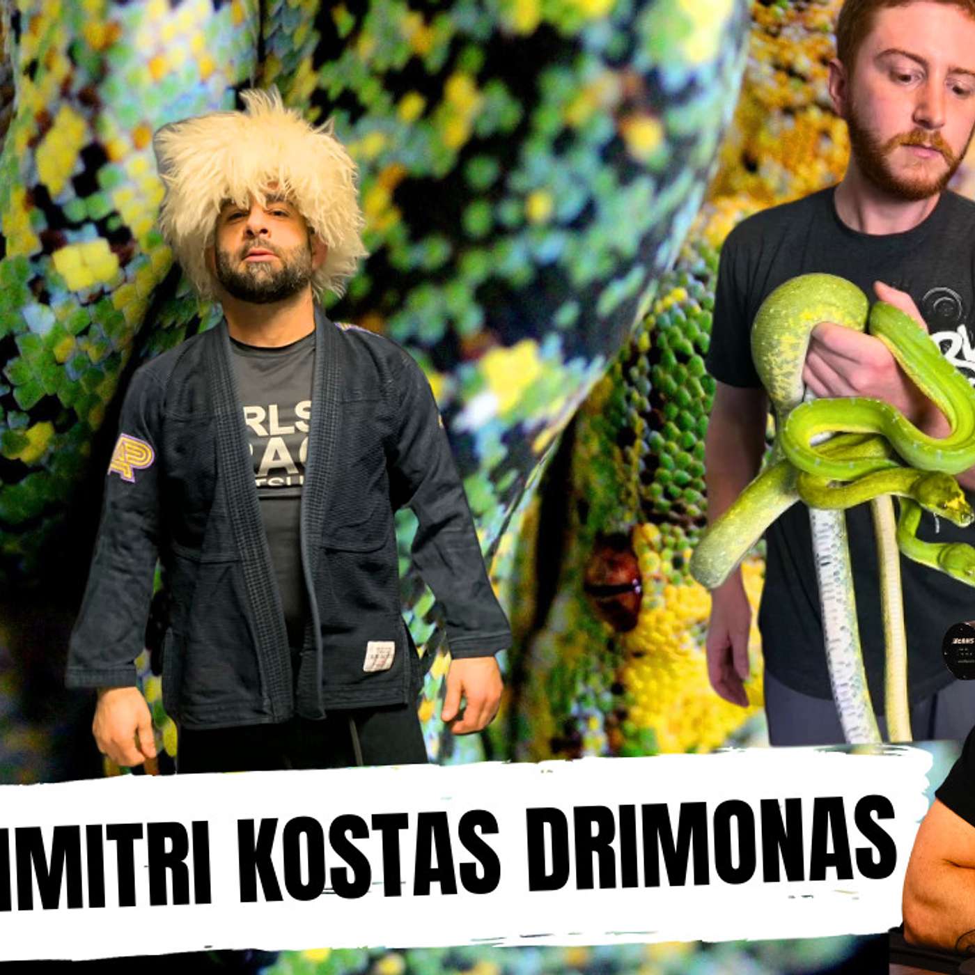 BJJ Black Belt who breeds designer Green Tree Pythons | All In The Tree Tuesday's