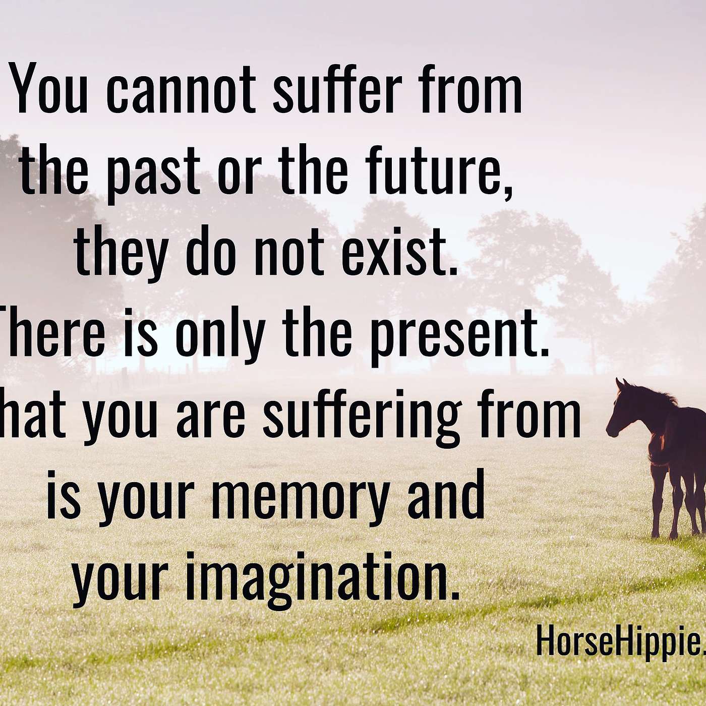 Memory or Imagination