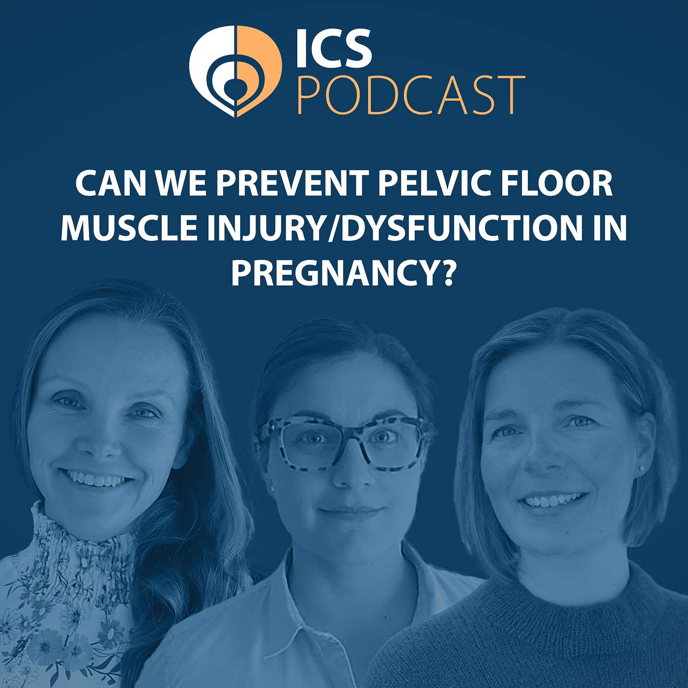 Episode 2: Can we prevent pelvic floor muscle injury/dysfunction in pregnancy?