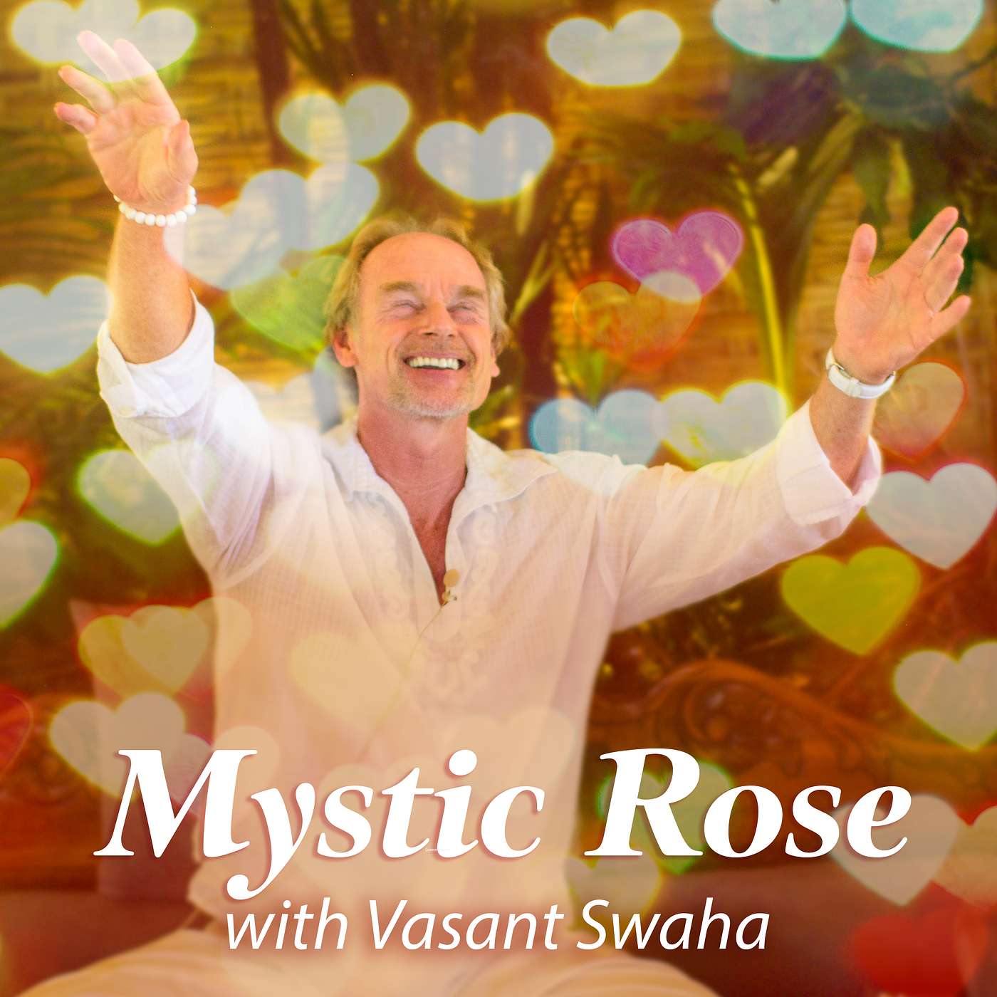 Satsang with Swaha - Audio