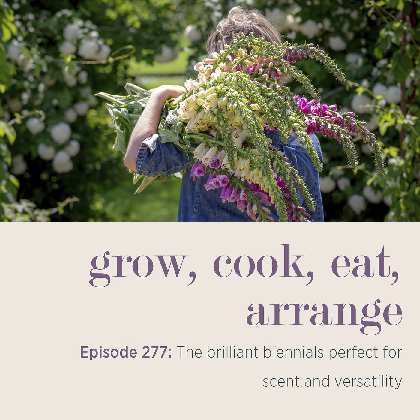 The brilliant biennials perfect for scent and versatility - Episode 277